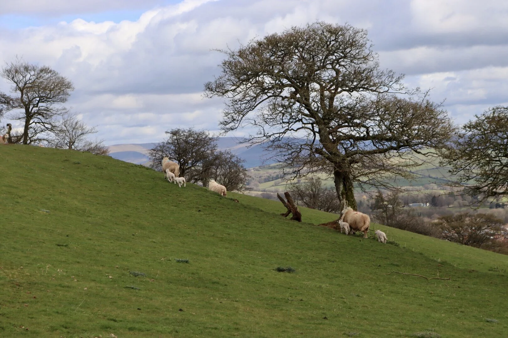 Keira’s COVID diary 