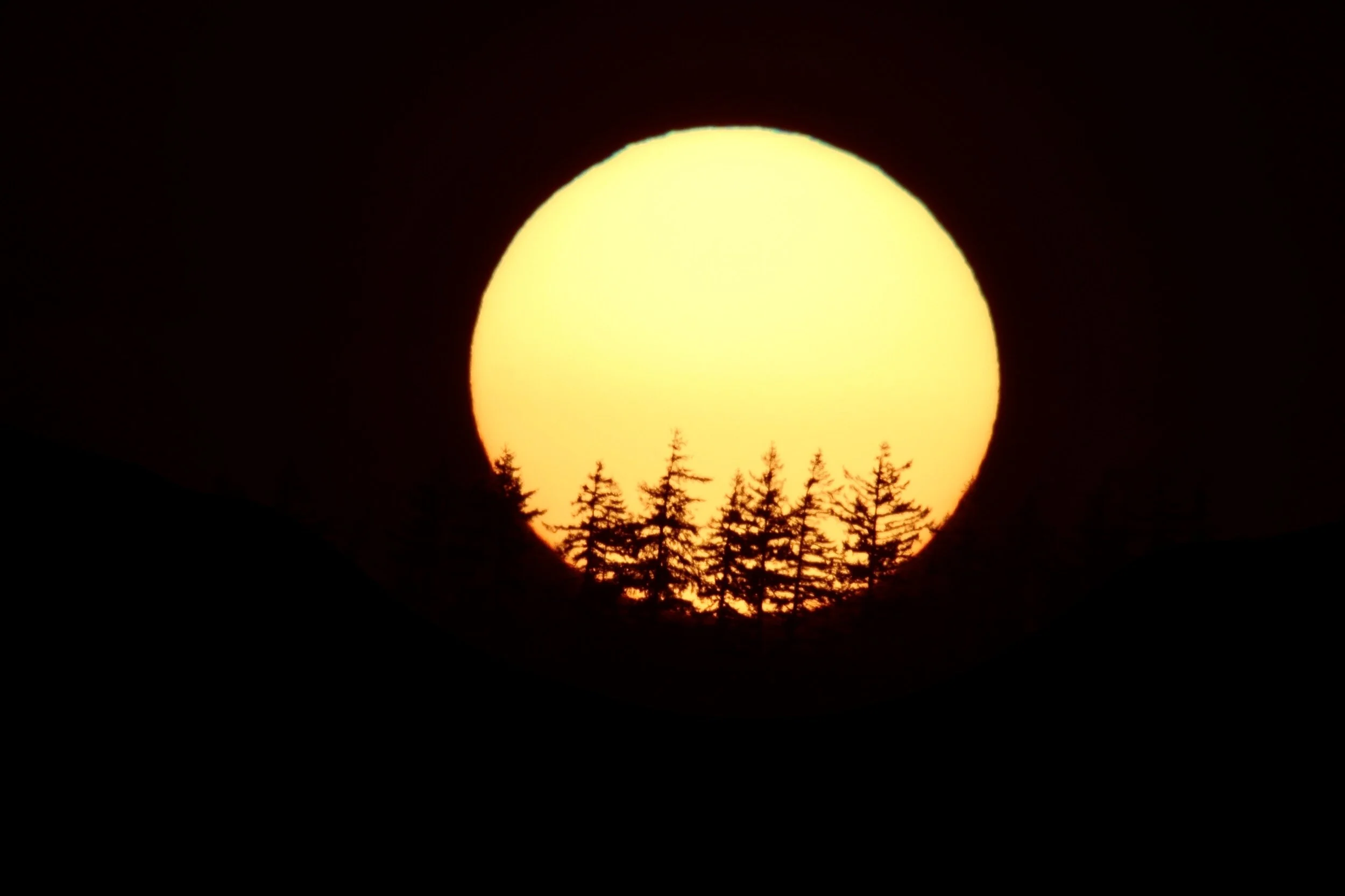 Keira’s COVID diary week 2