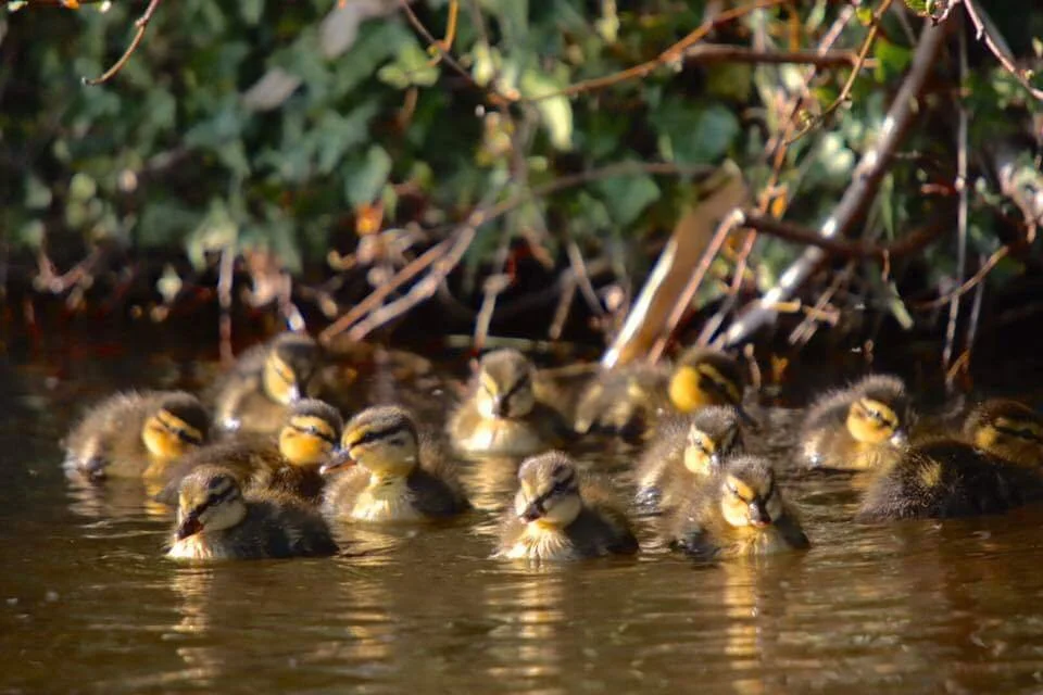 Keira’s photo diary- Week 3