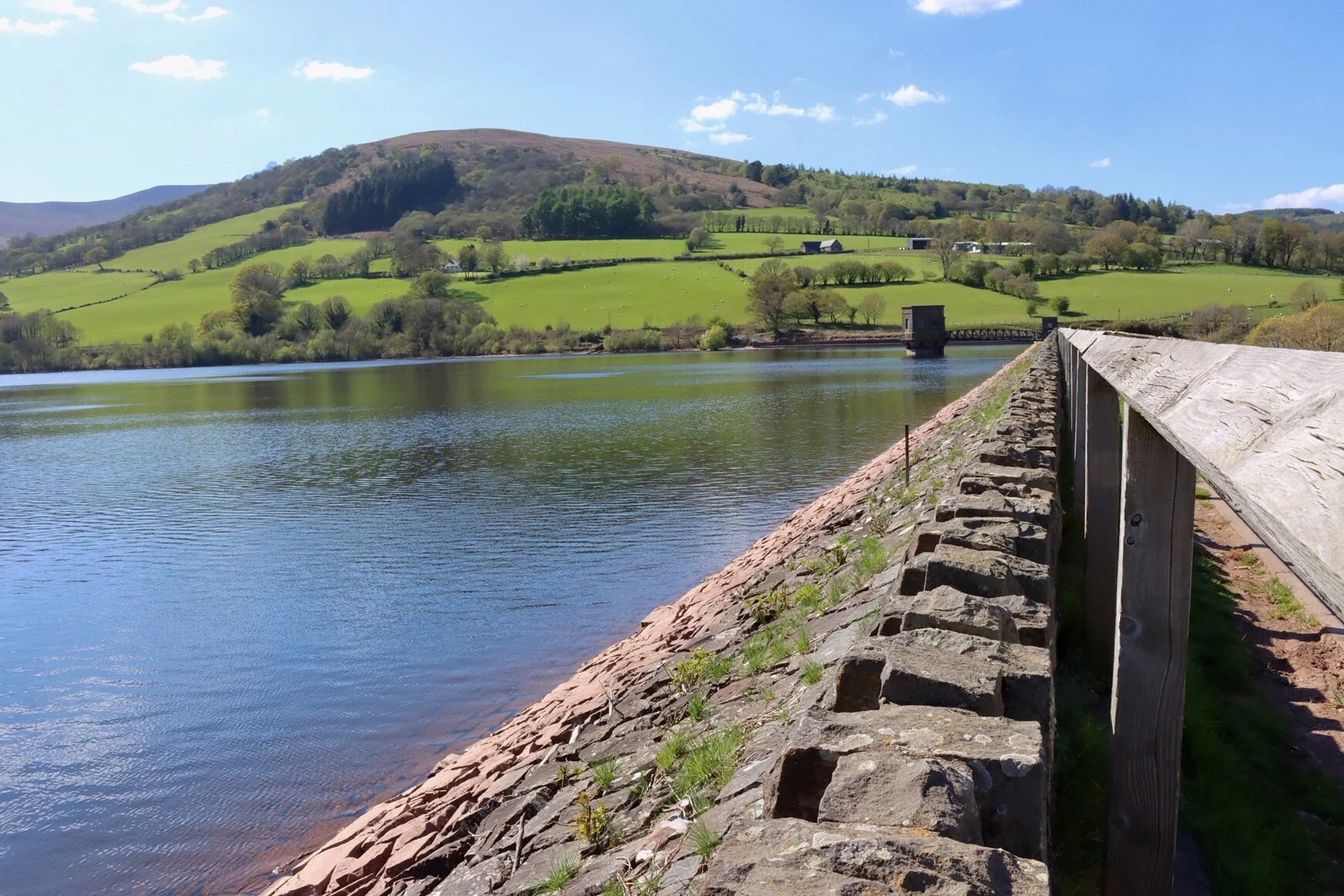 Keira’s lockdown photo diary - week 4