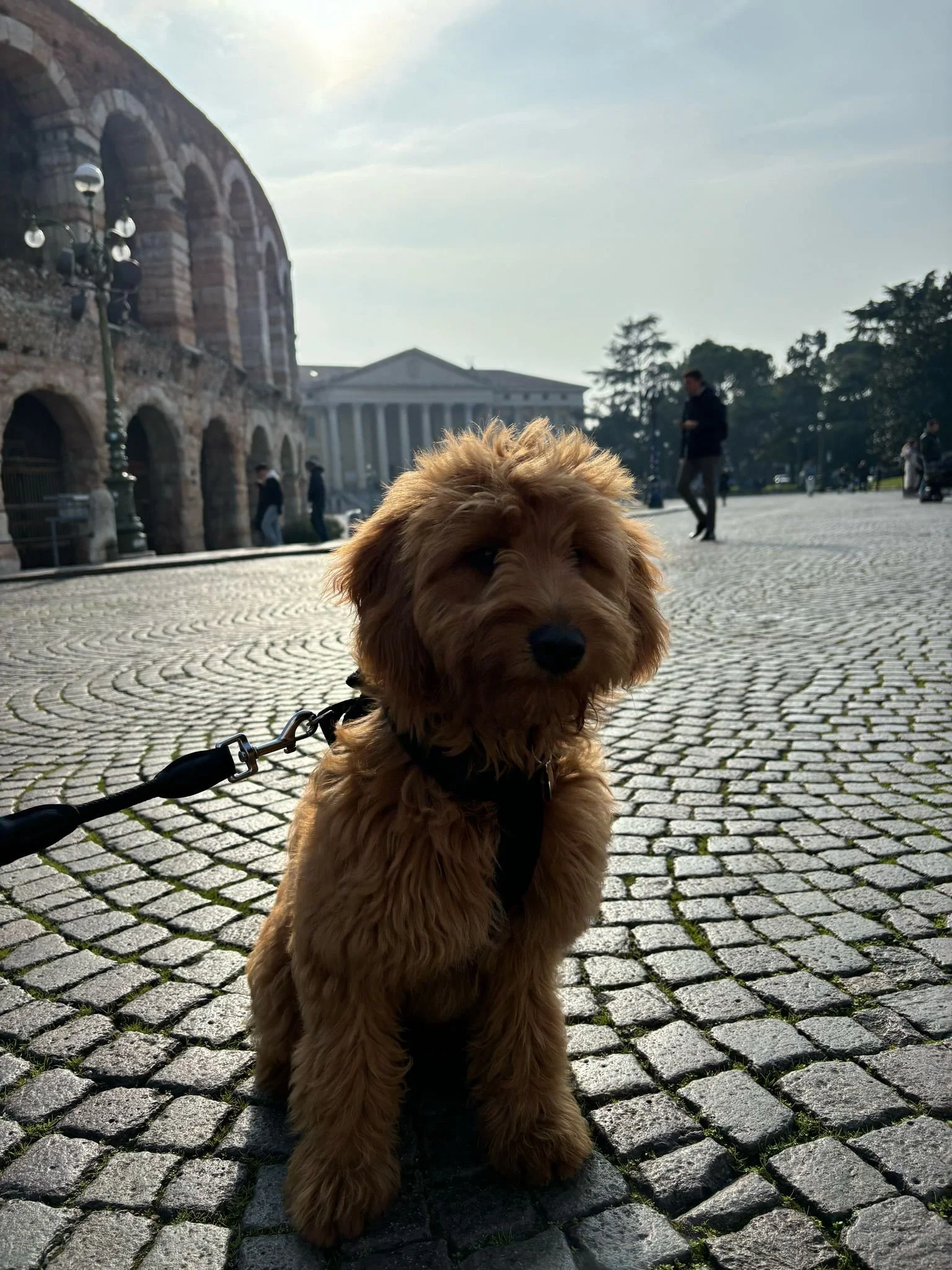 PHOTO-2025-04-03-17-33-05 3.jpg