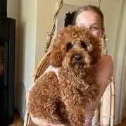 F1B Cavapoo Puppy Review from Finland | Rossbane Kennels