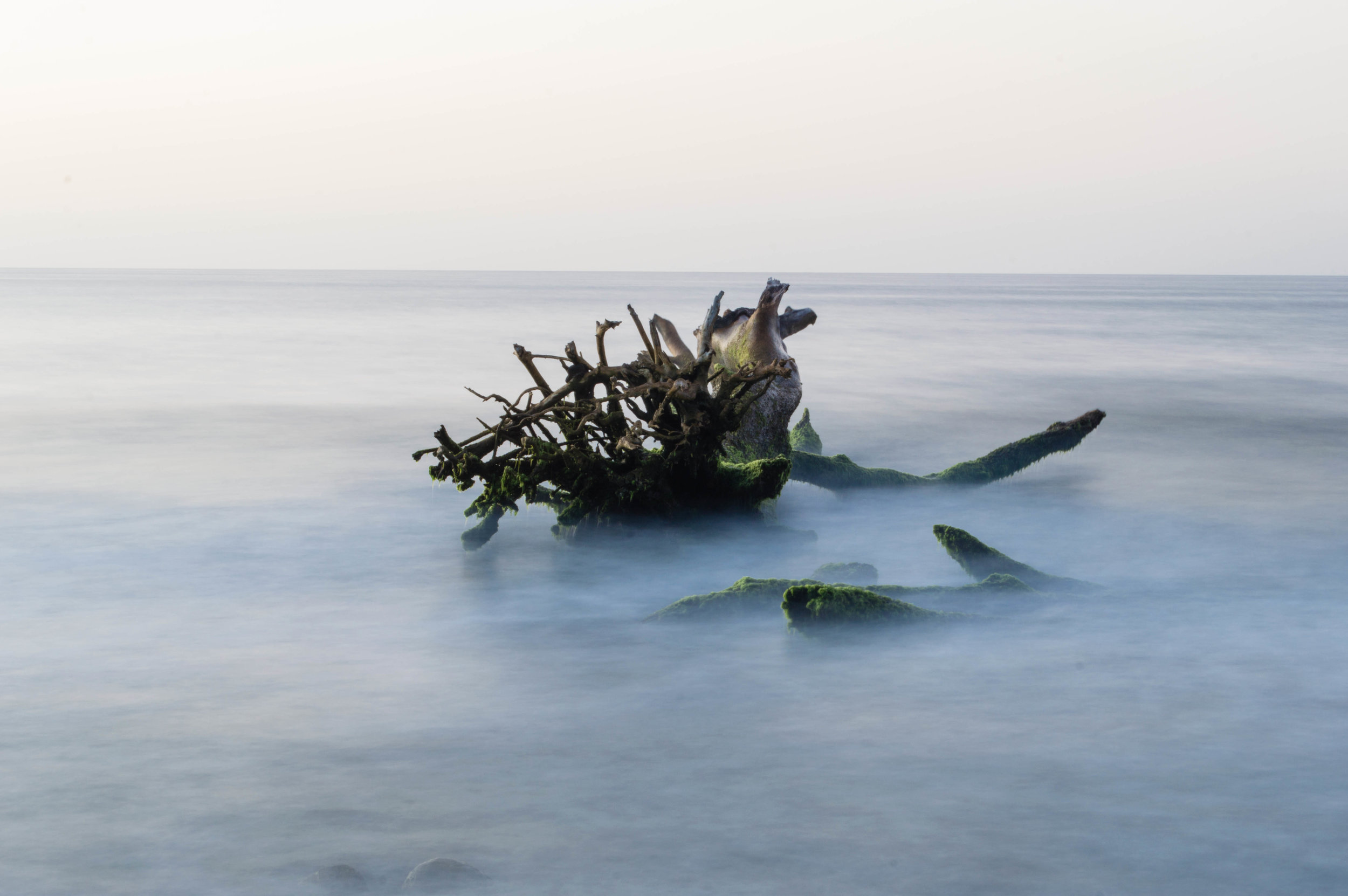 Fracción del tiempo-4.jpg