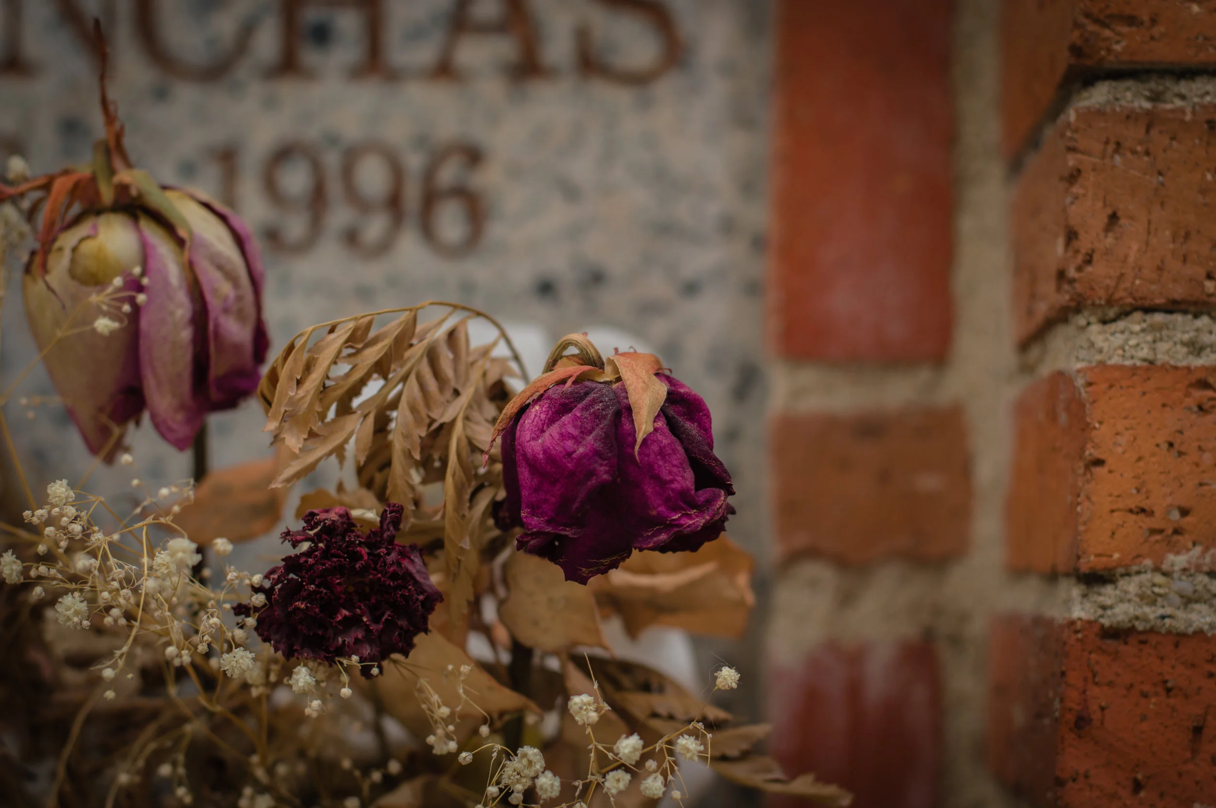 Flores en el cementerio (2 de 18).jpg