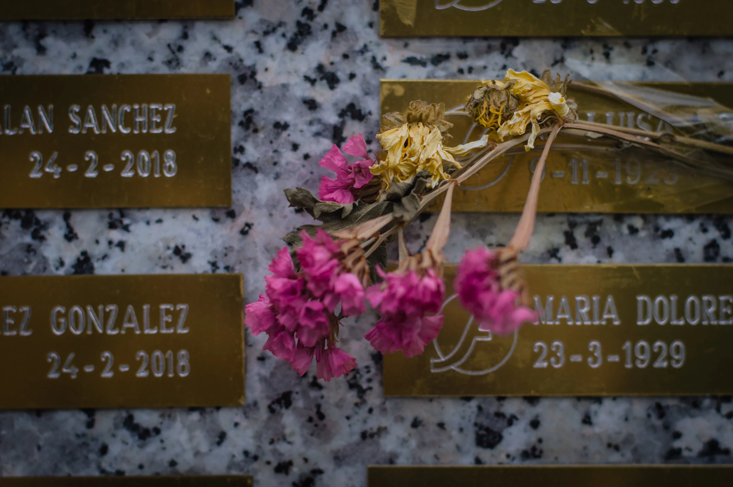 Flores en el cementerio (4 de 18).jpg