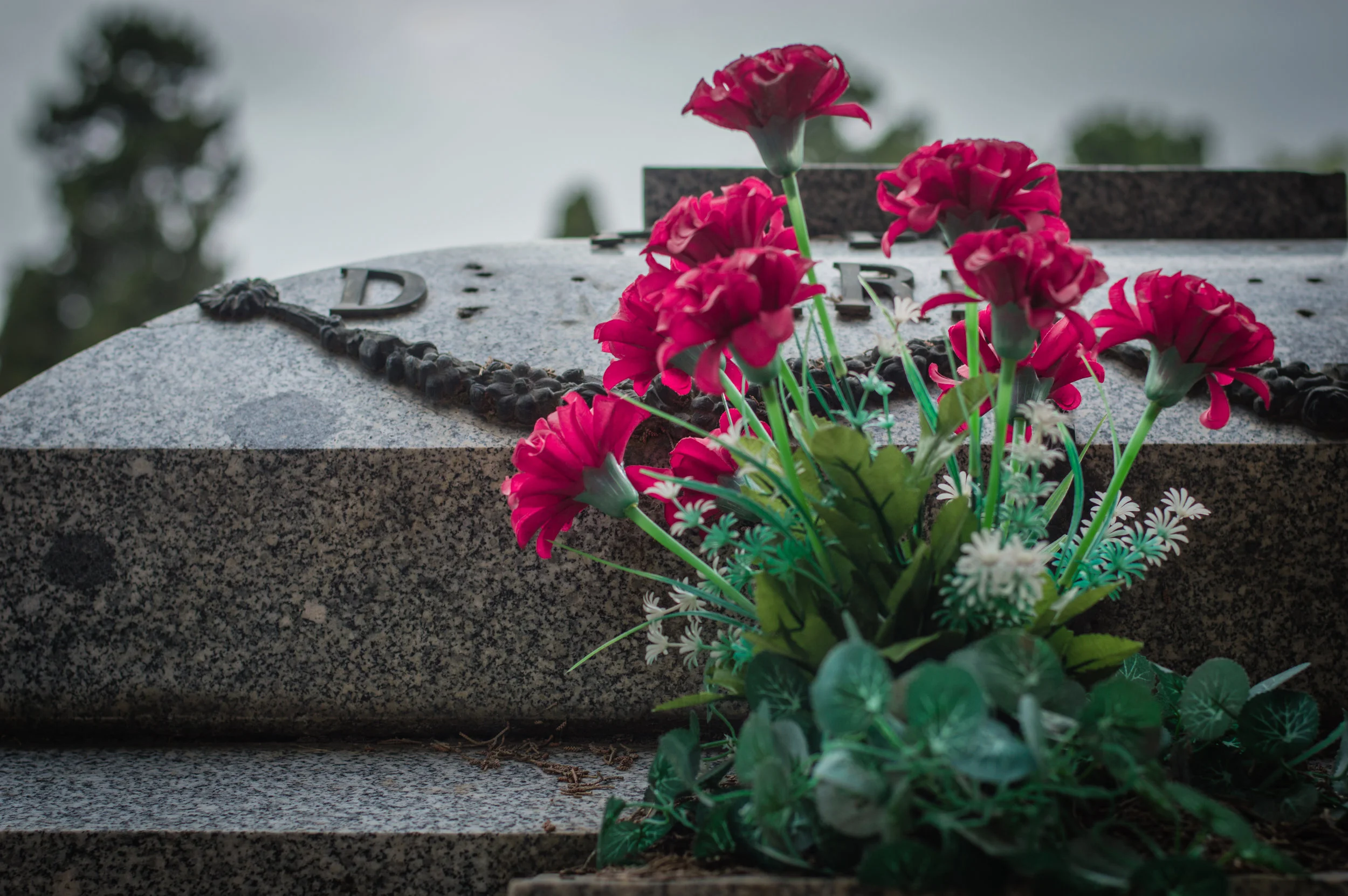 Flores en el cementerio (5 de 18).jpg
