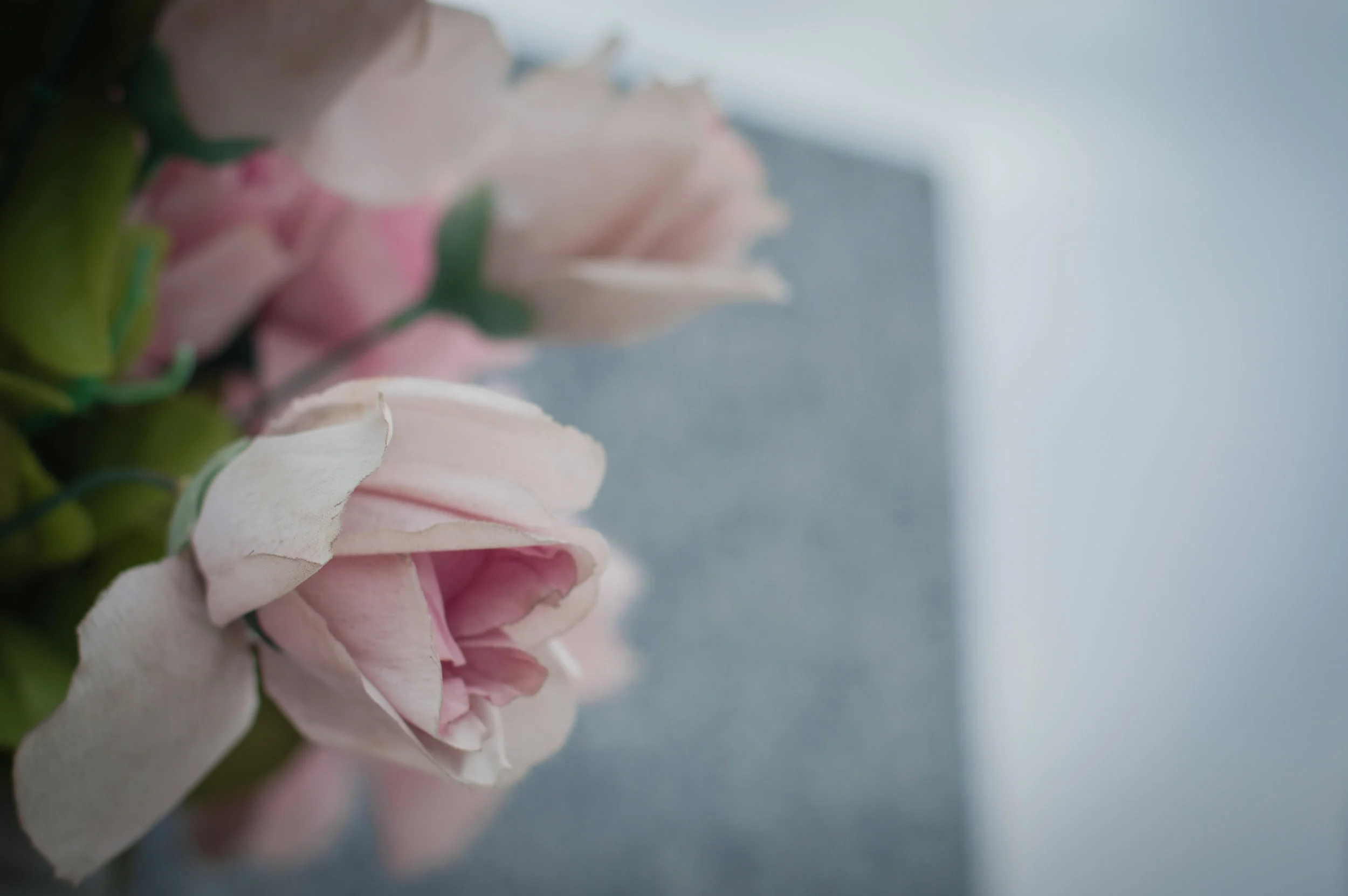 Flores en el cementerio (8 de 18).jpg