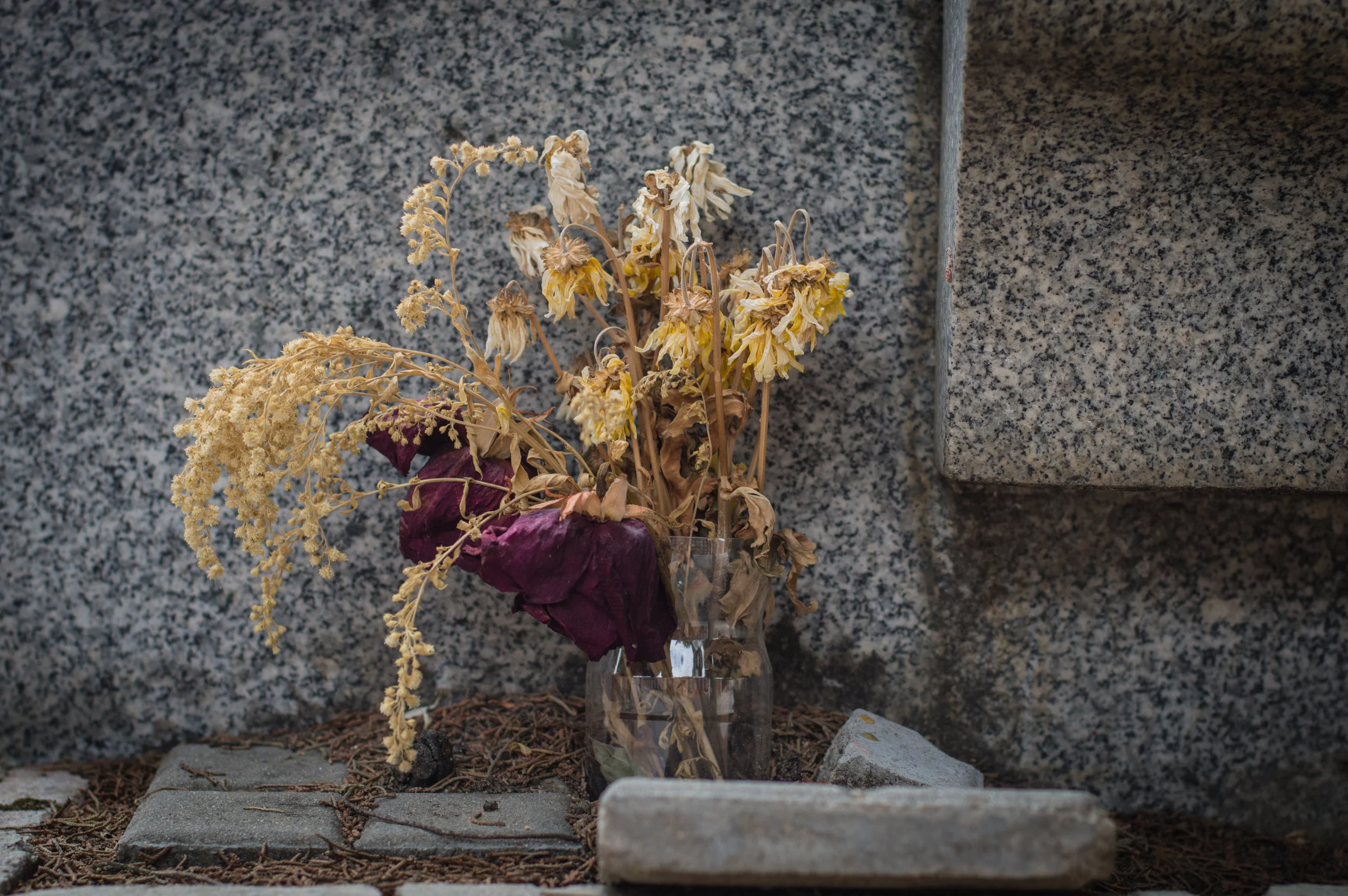 Flores en el cementerio (10 de 18).jpg