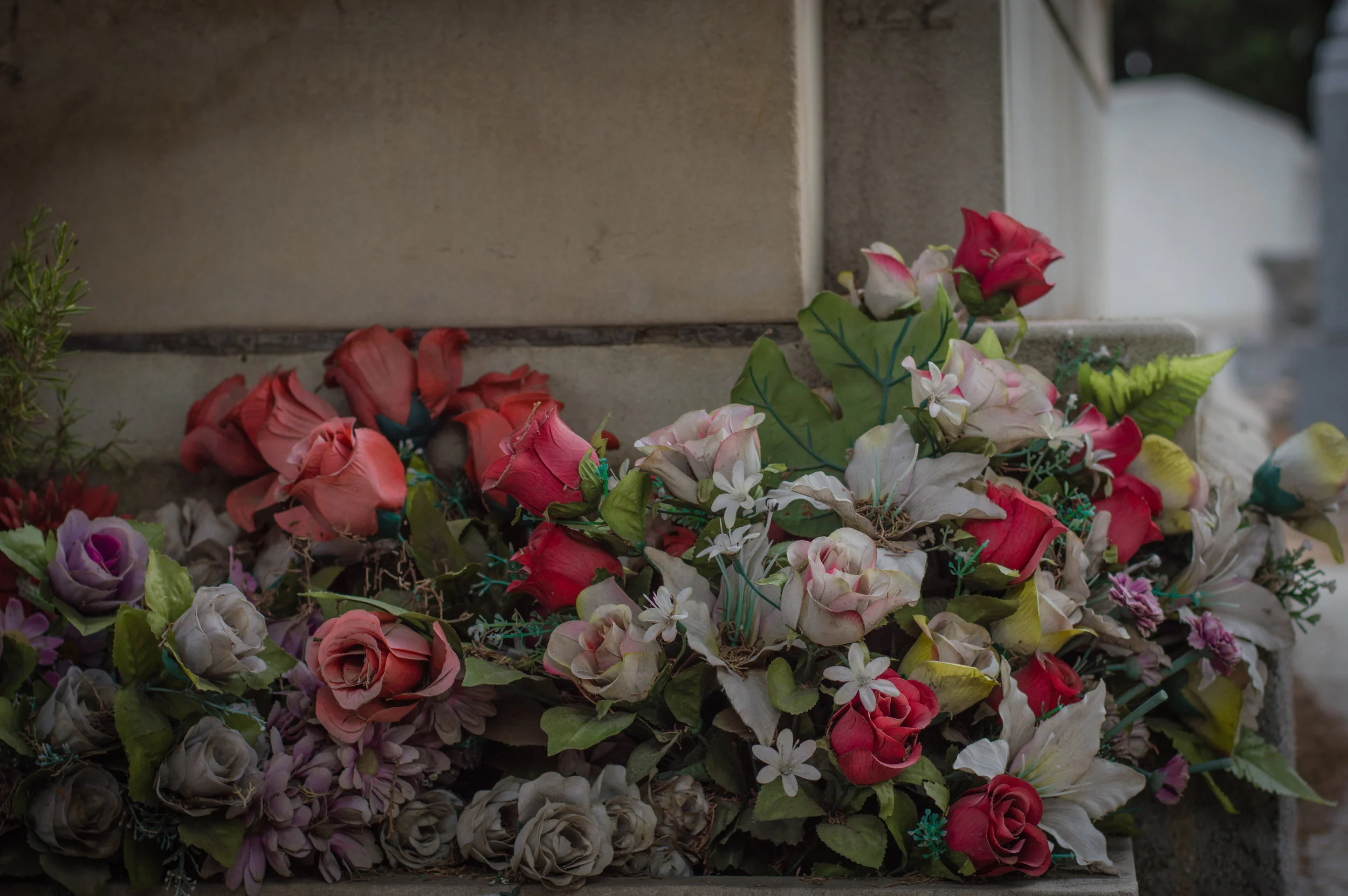 Flores en el cementerio (11 de 18).jpg