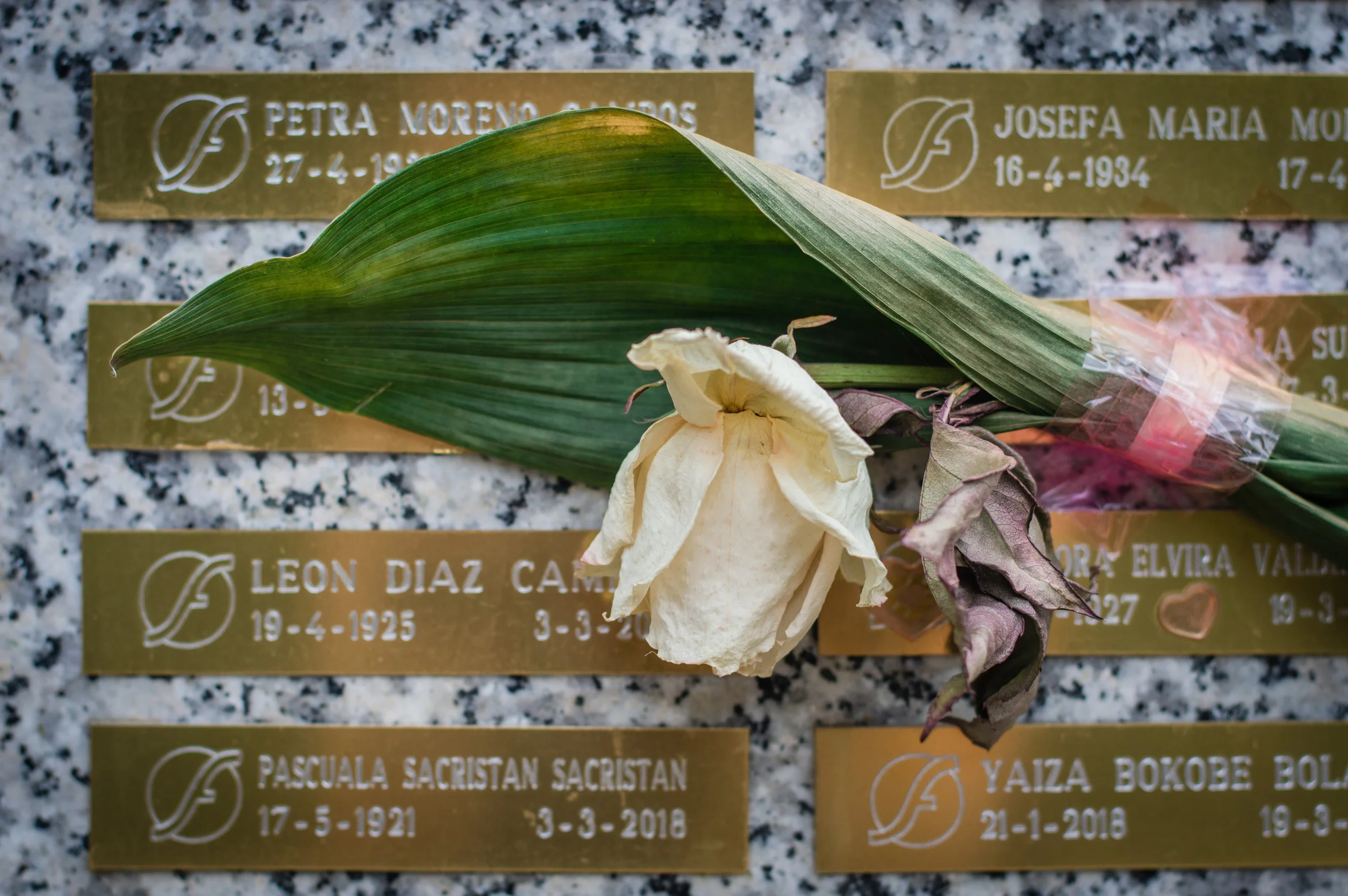 Flores en el cementerio (12 de 18).jpg