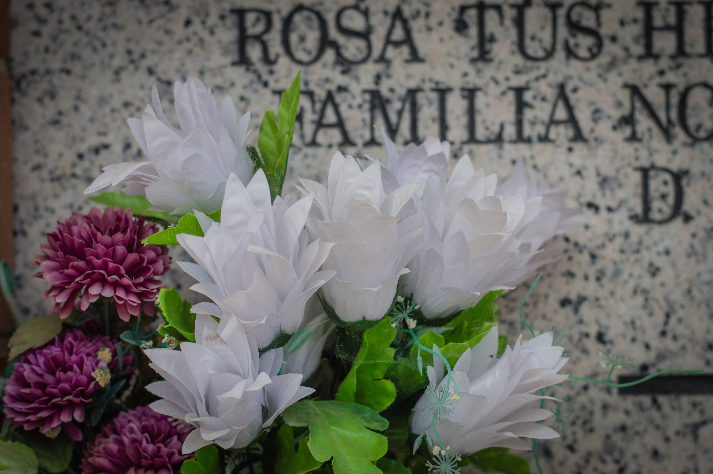 Flores en el cementerio (18 de 18).jpg