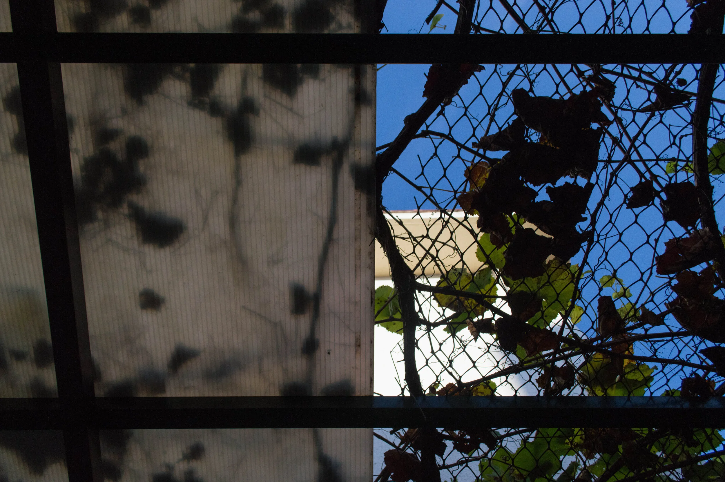 Antes de irme-39.jpg