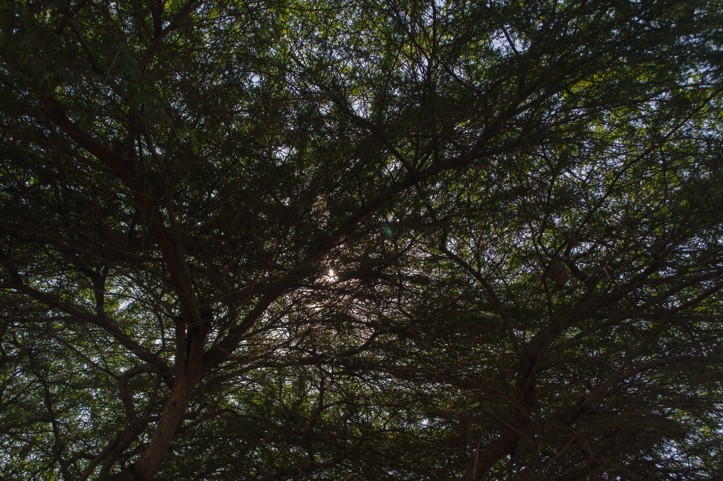 Antes de irme-44.jpg