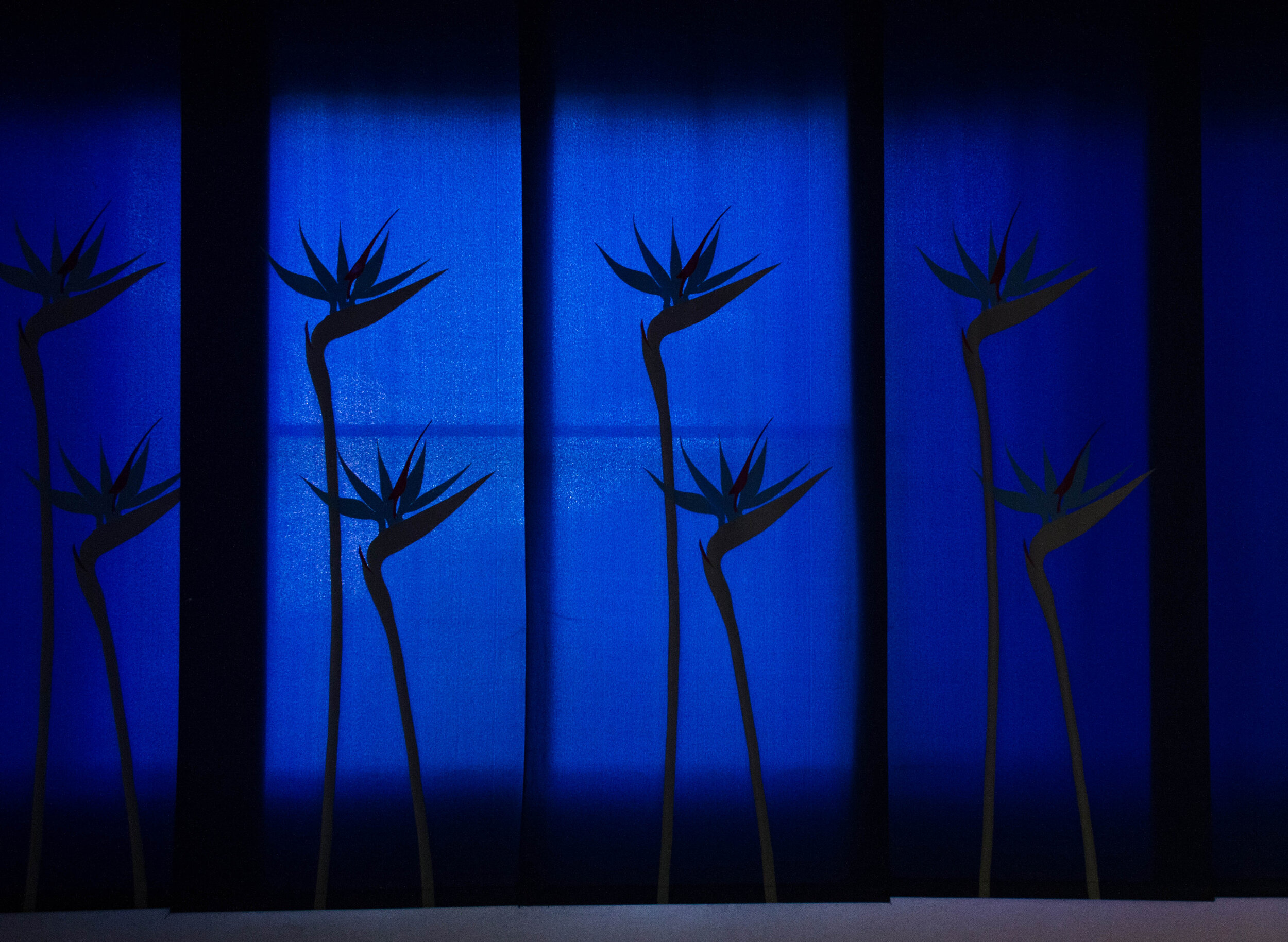 Antes de irme-85.jpg