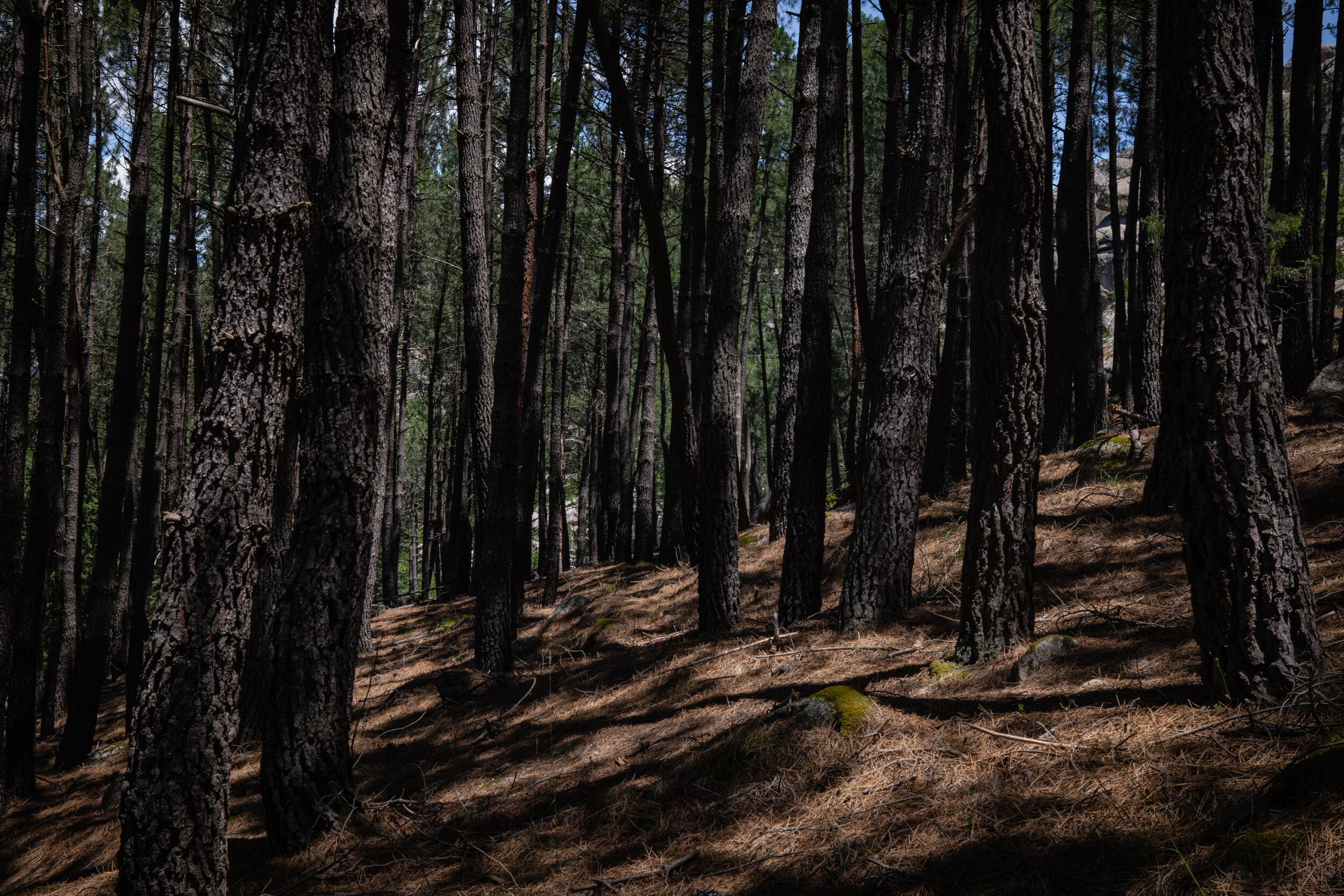 Cerca del rio, la orilla que llama  (4 of 18).jpg