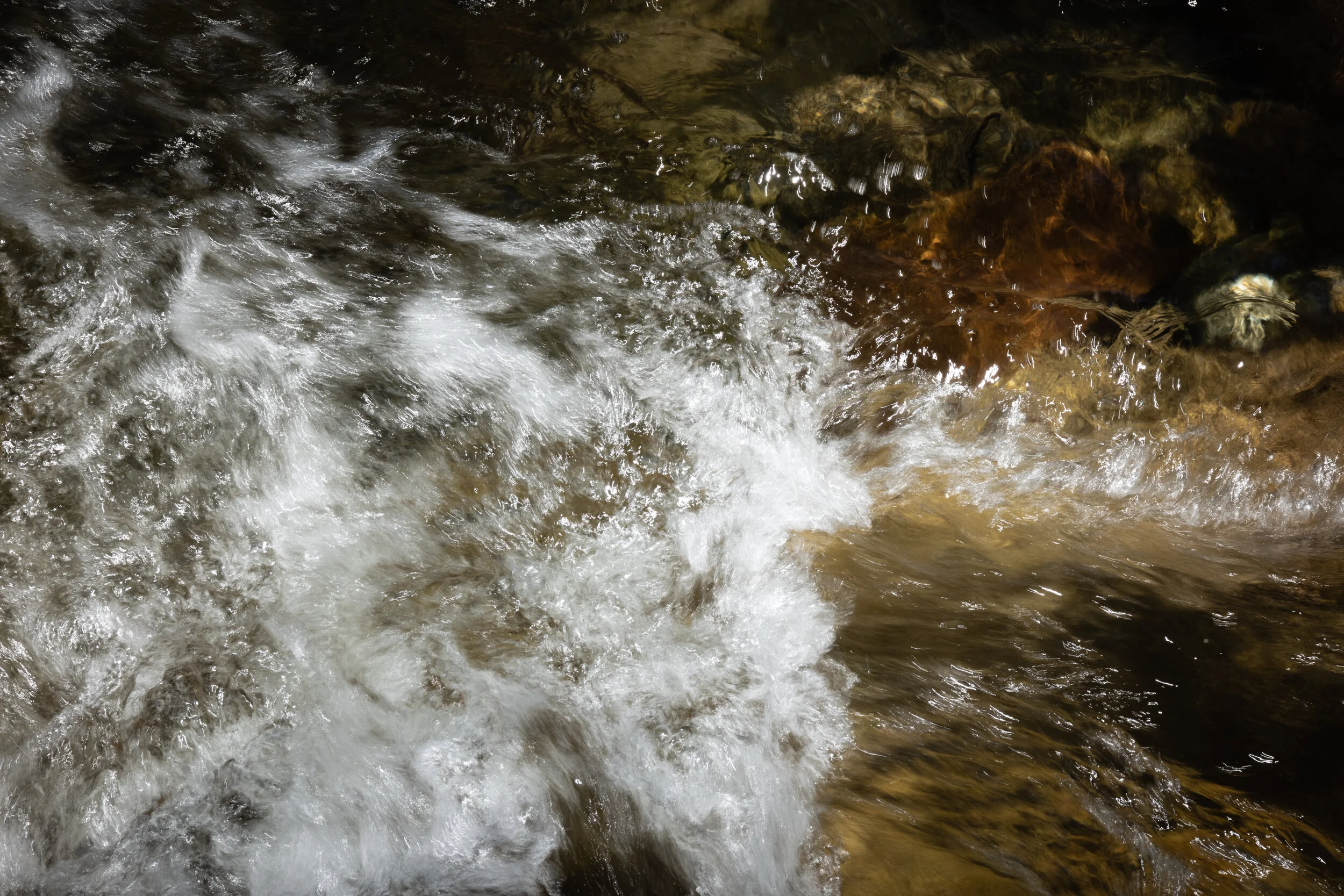 Cerca del rio, la orilla que llama  (14 of 18).jpg