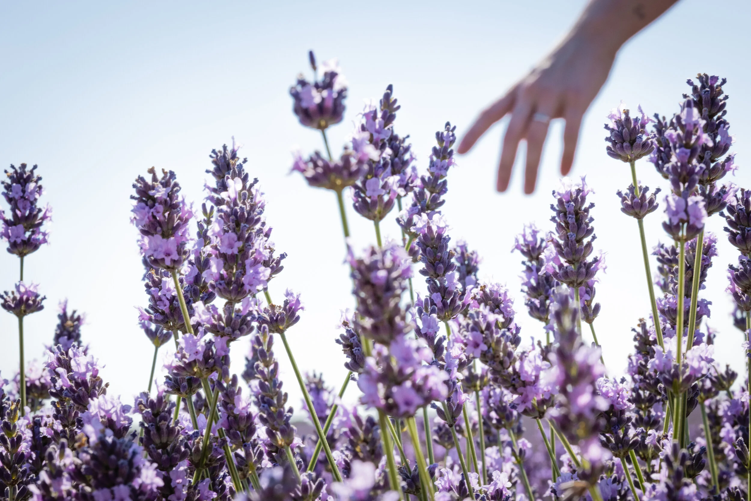 The Other Side (2 of 9).jpg