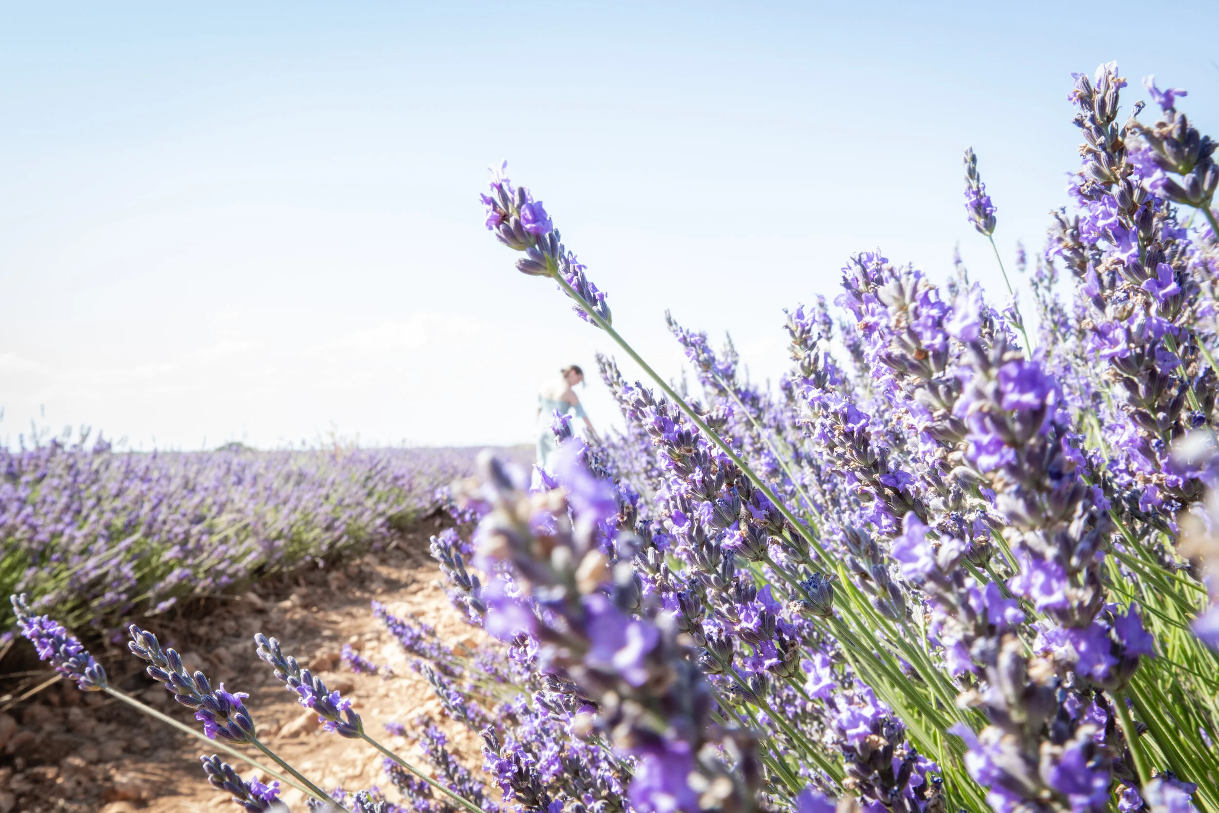 The Other Side (5 of 9).jpg