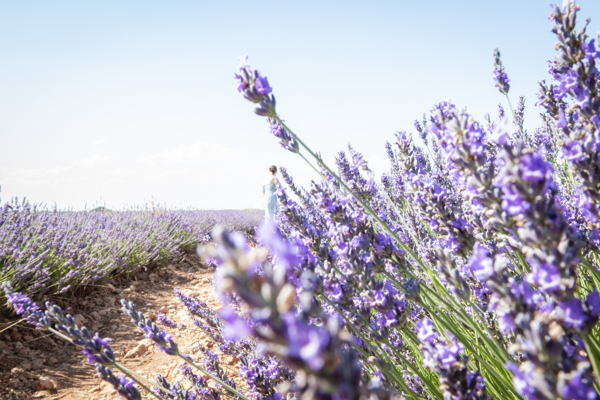 The Other Side (6 of 9).jpg