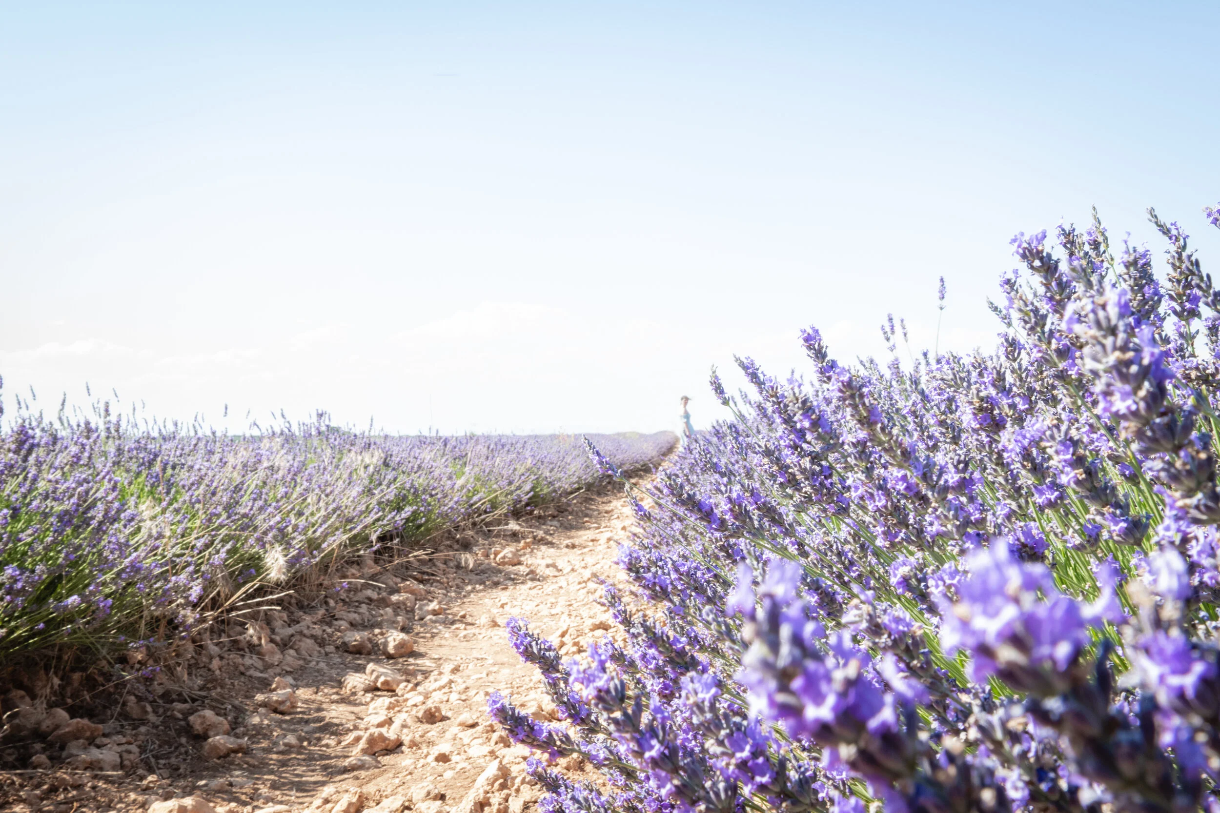 The Other Side (8 of 9).jpg