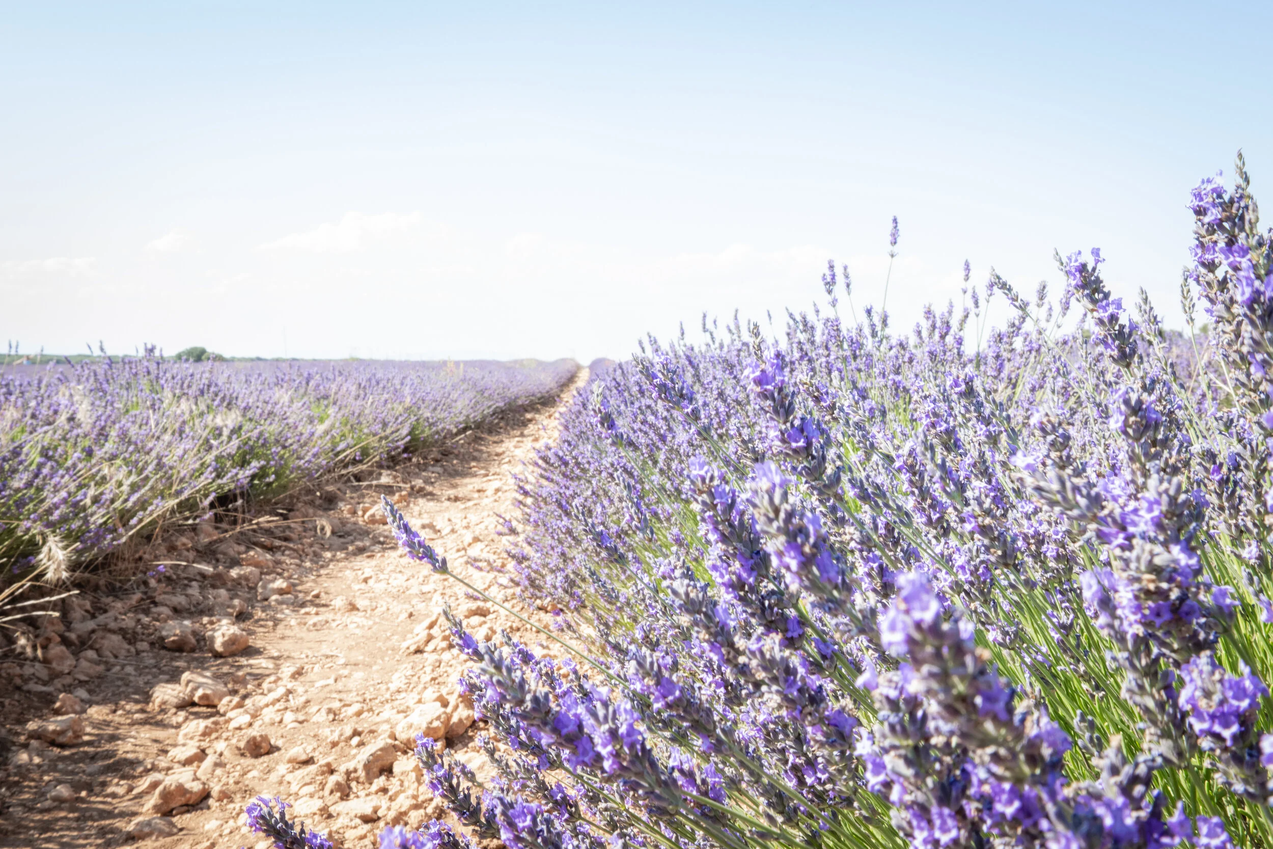 The Other Side (9 of 9).jpg