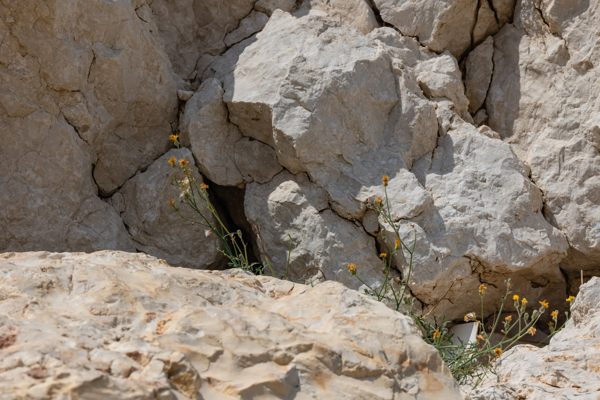 DiaYNocheAlCompas (10 of 24).jpg