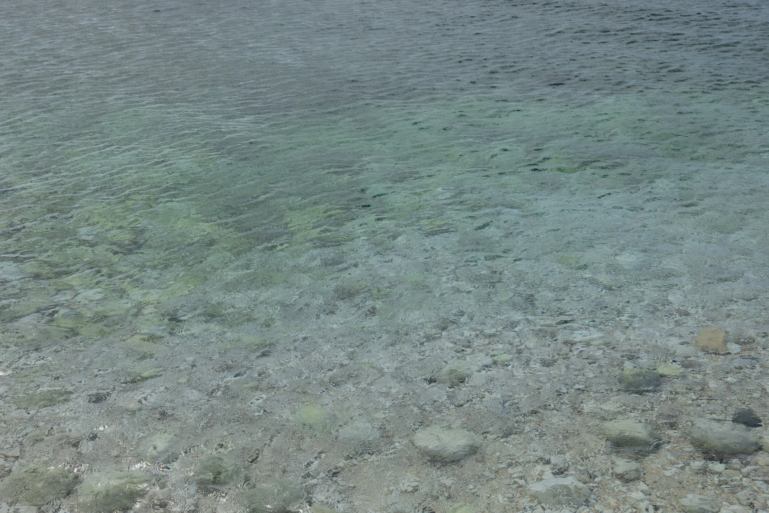 DiaYNocheAlCompas (12 of 24).jpg