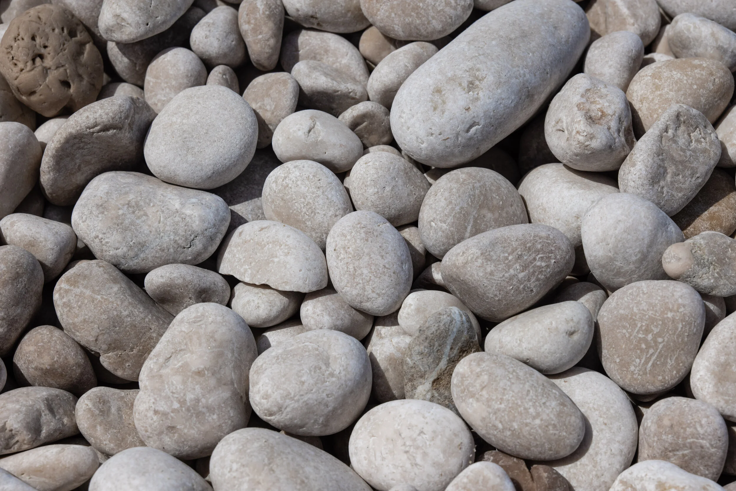 DiaYNocheAlCompas (19 of 24).jpg