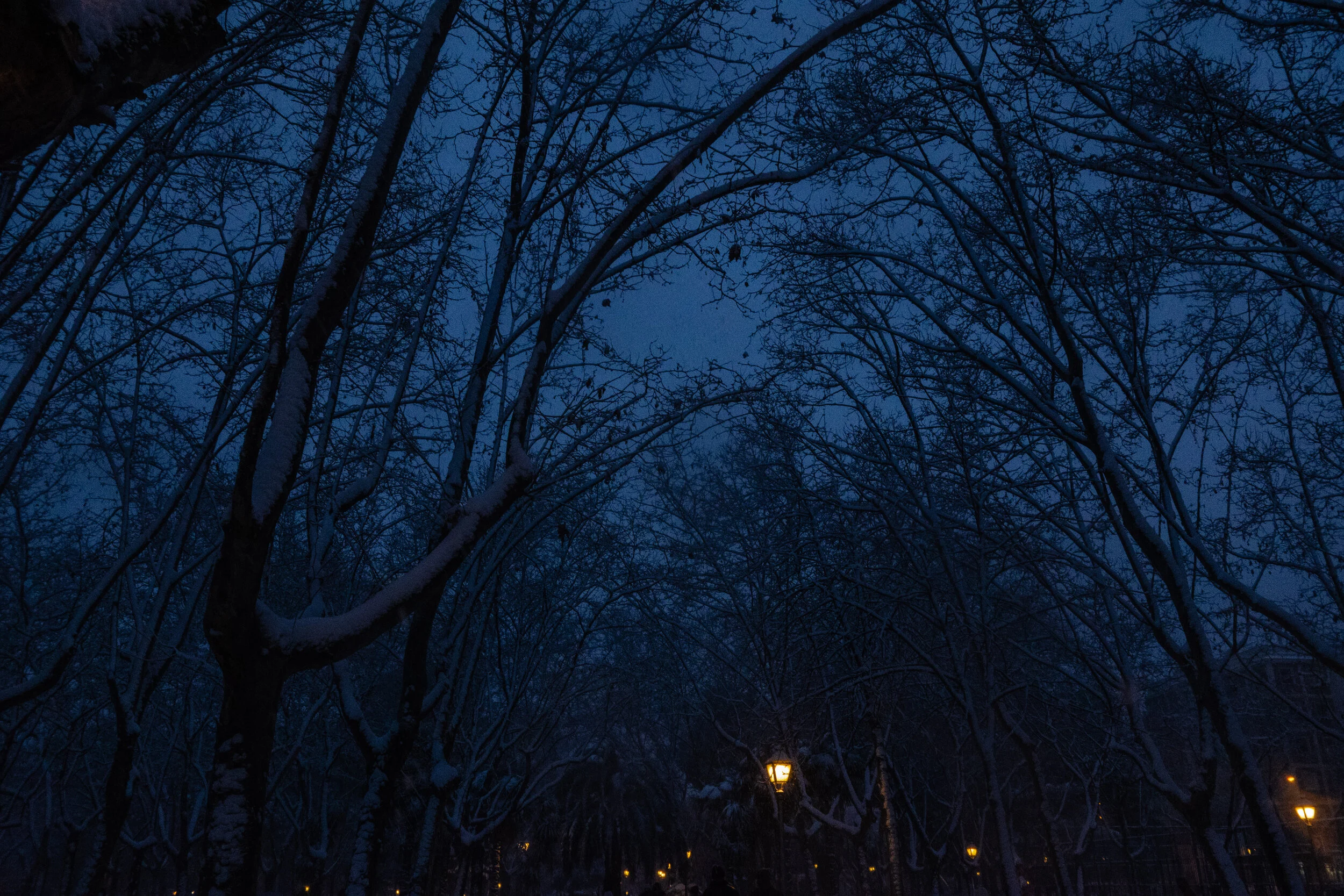 madrid.filomena.pi (9 of 15).jpg