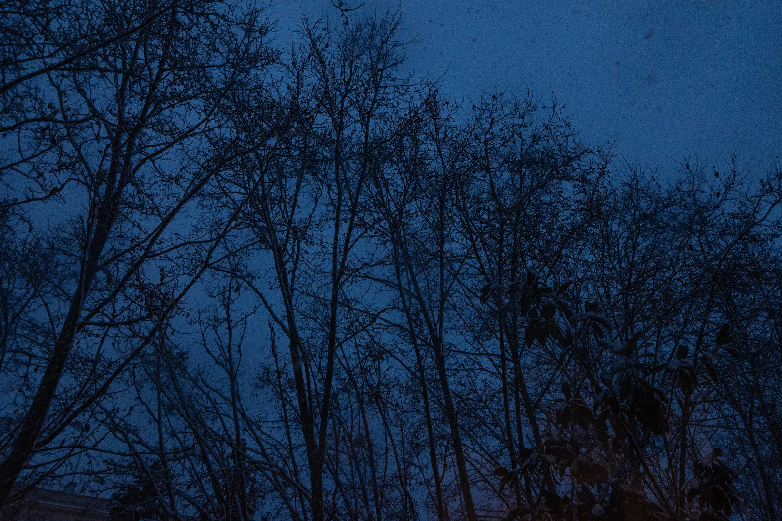 madrid.filomena.pi (11 of 15).jpg