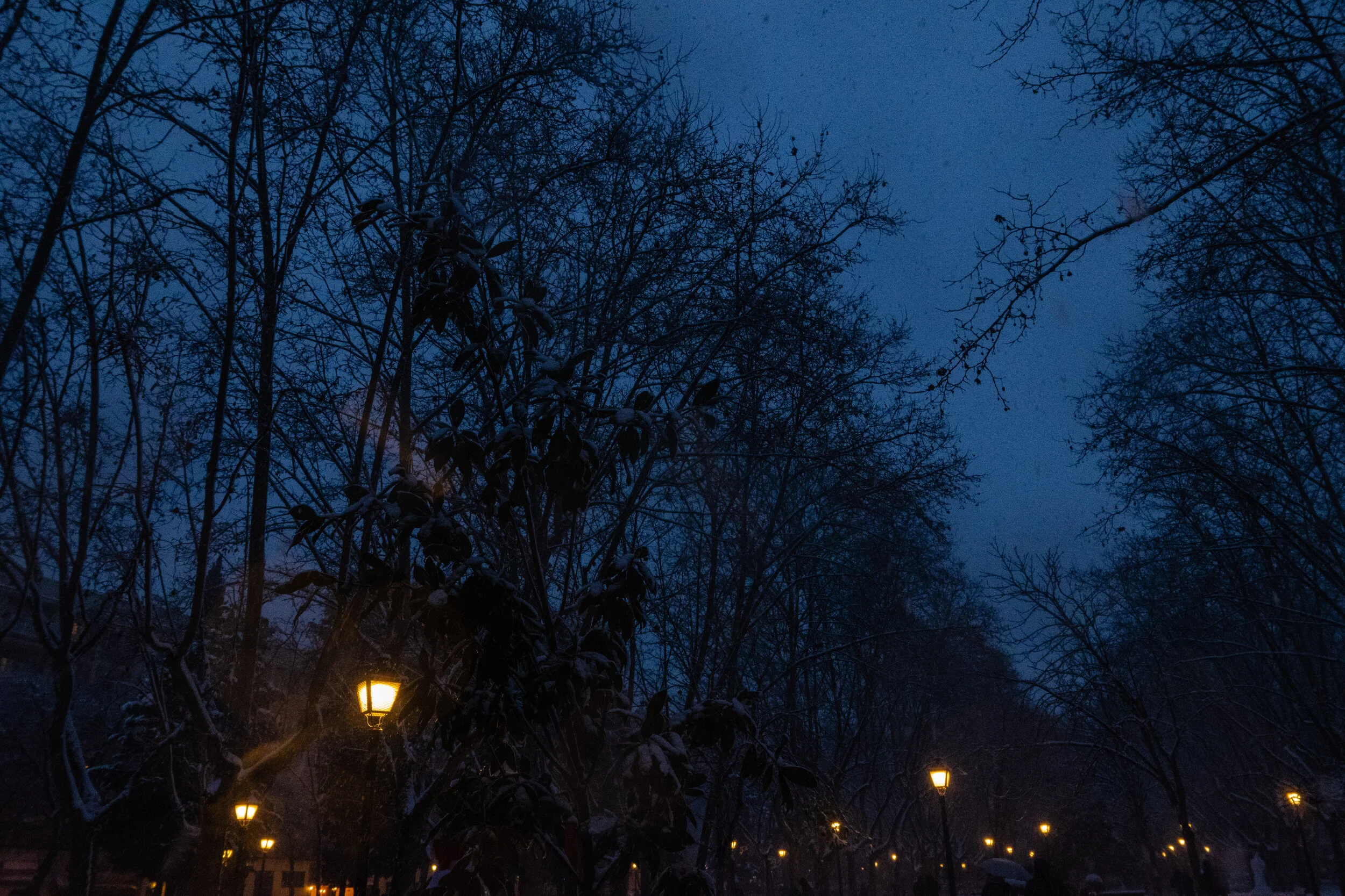 madrid.filomena.pi (12 of 15).jpg