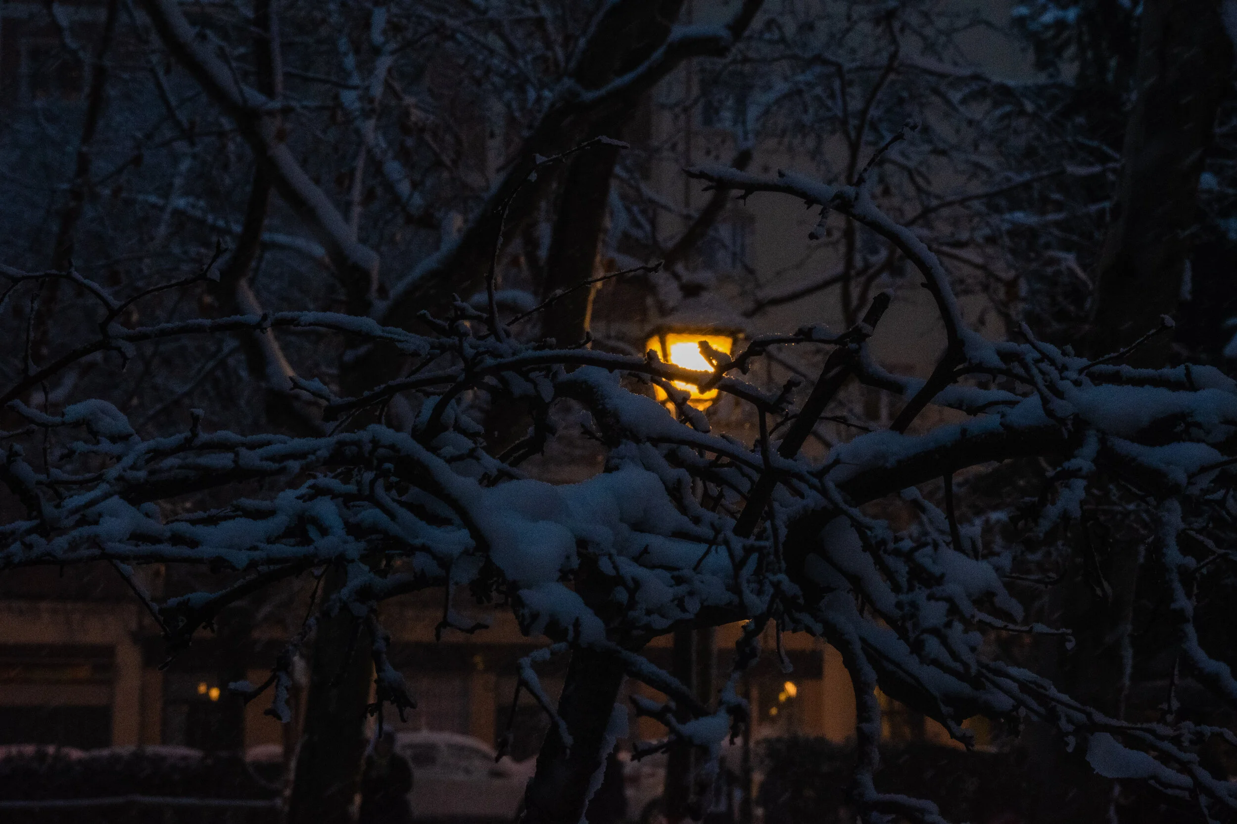 madrid.filomena.pi (14 of 15).jpg