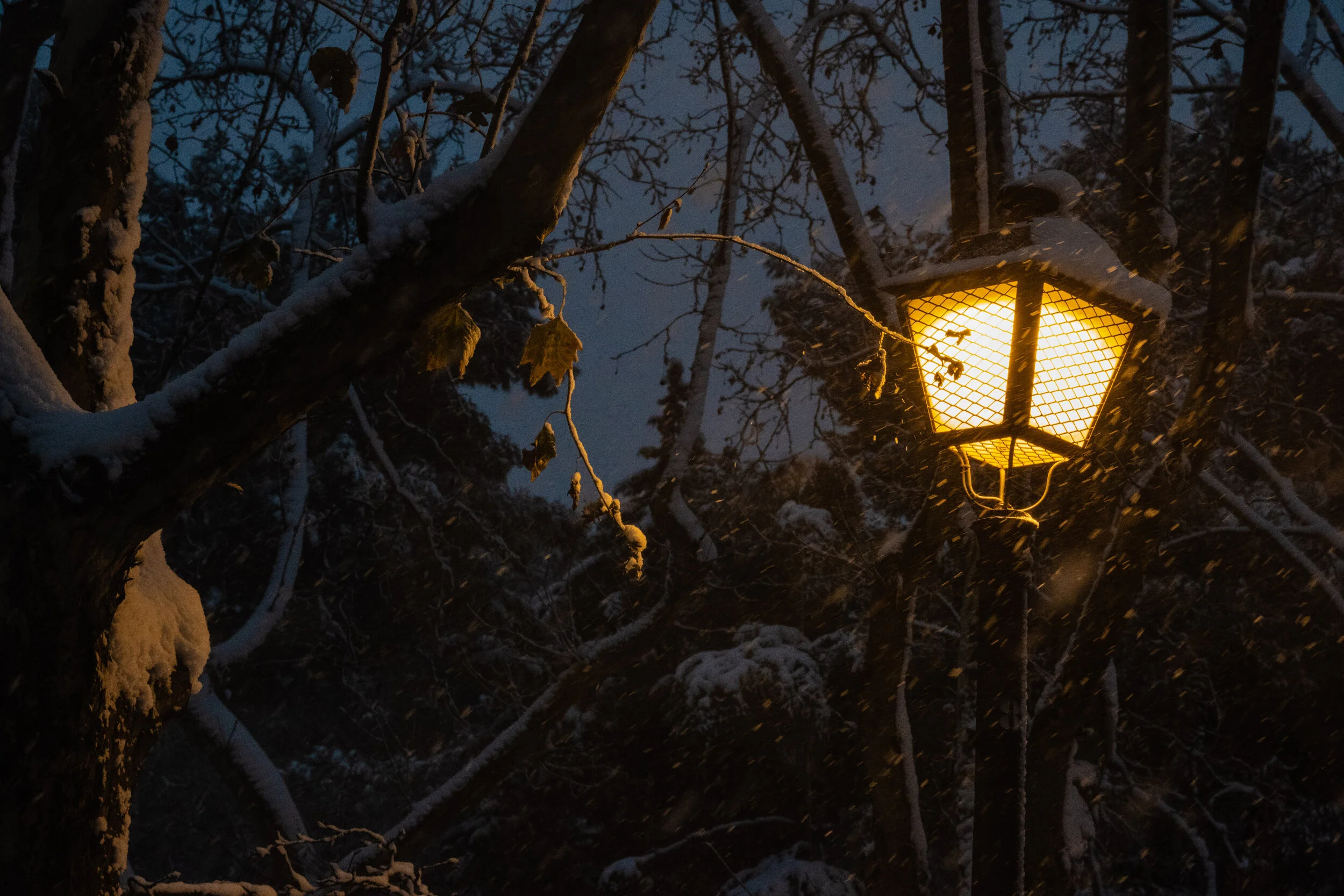 madrid.filomena.pi (15 of 15).jpg