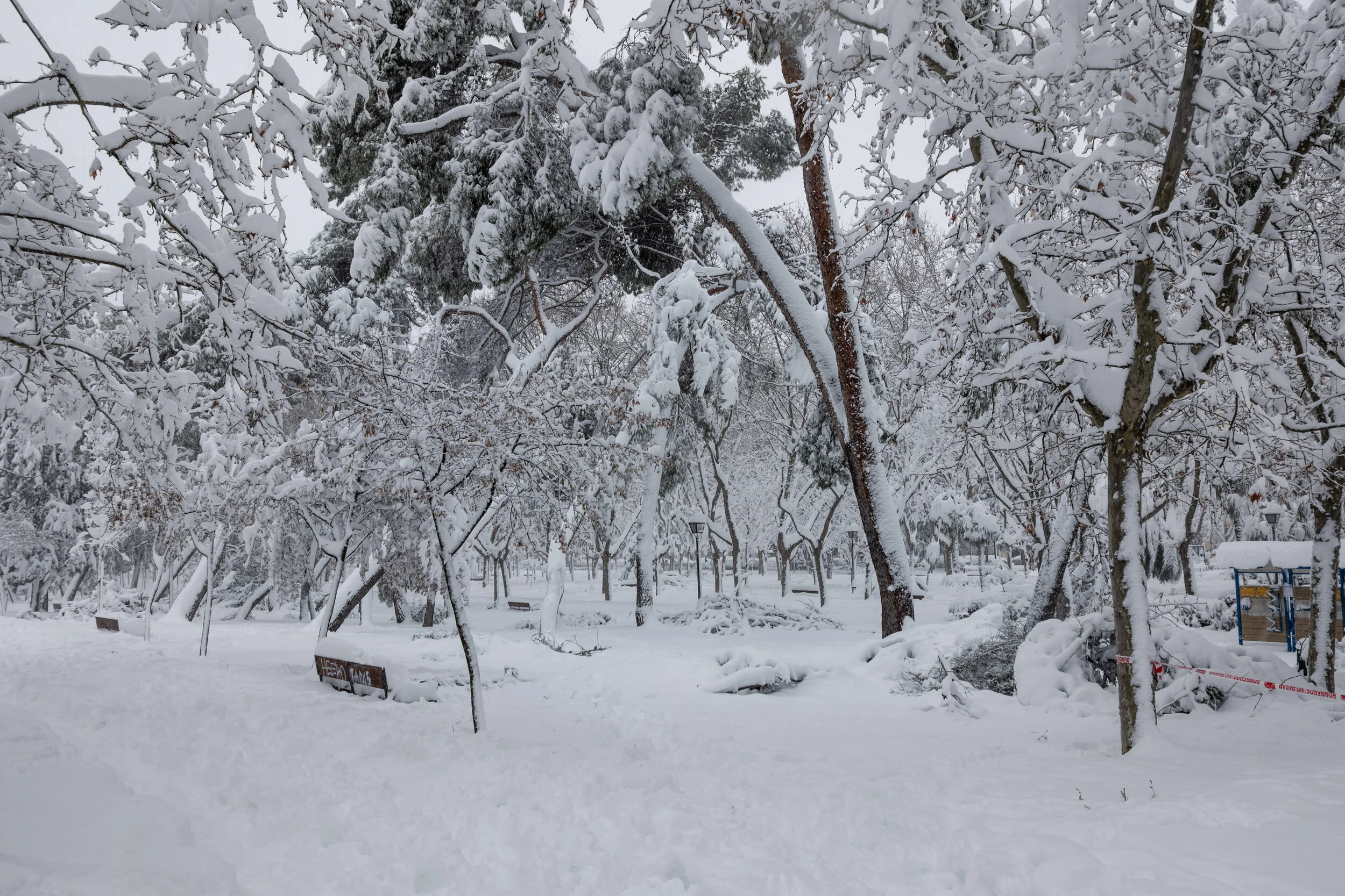 madrid.filomena.pii (4 of 15).jpg