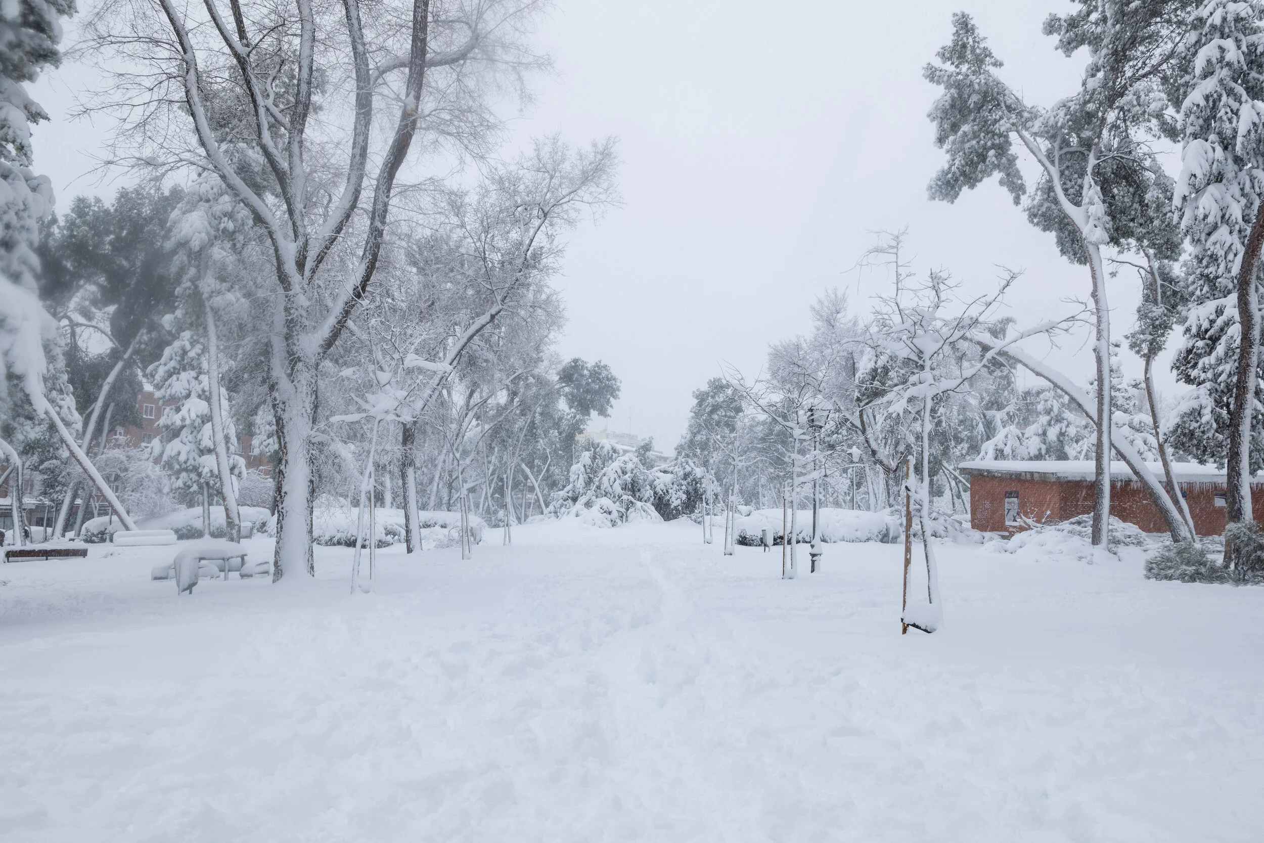 madrid.filomena.pii (5 of 15).jpg