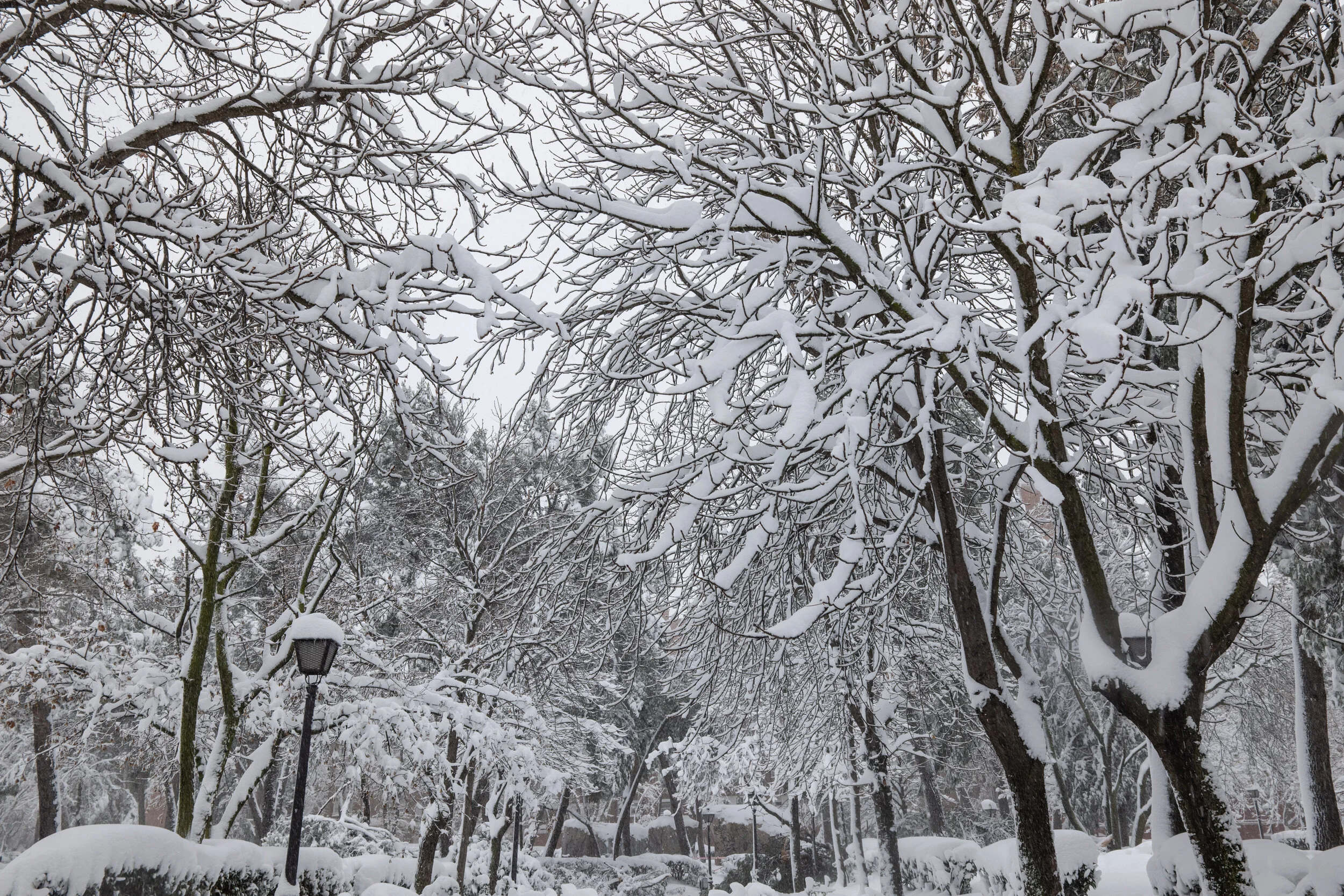 madrid.filomena.pii (8 of 15).jpg