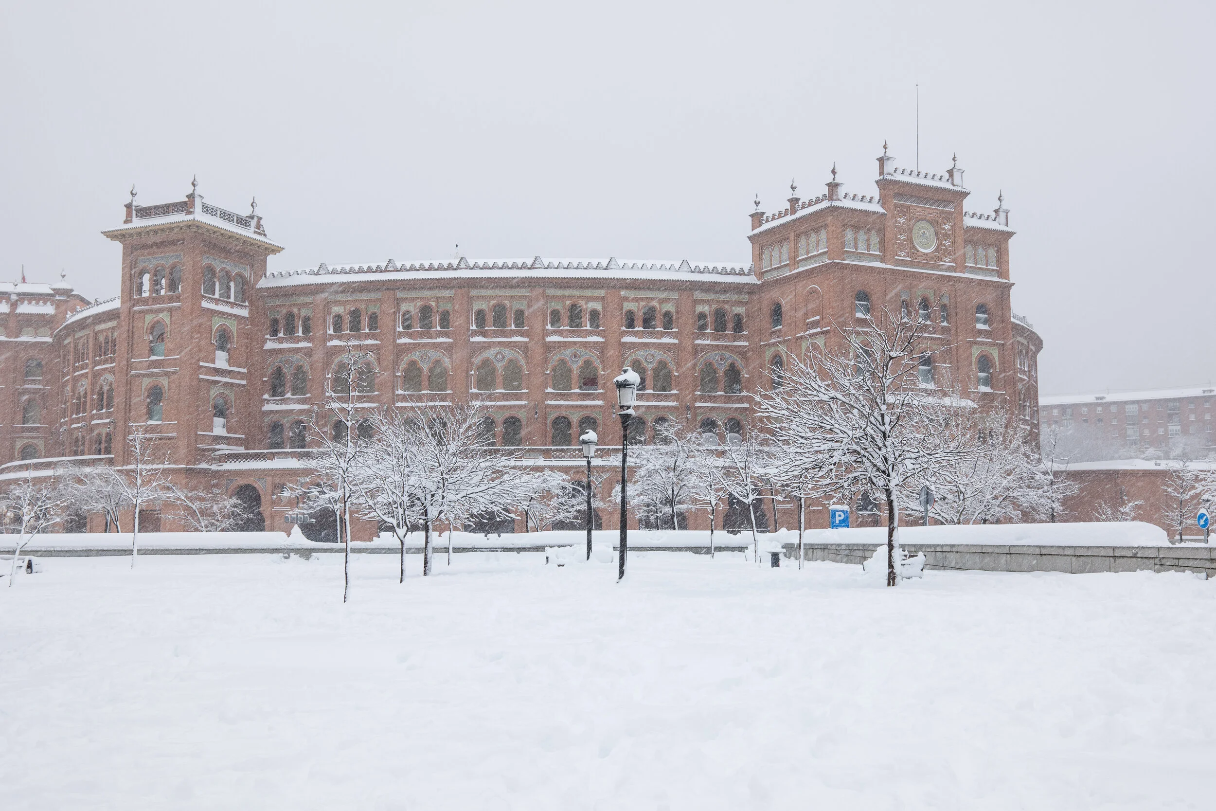 madrid.filomena.pii (11 of 15).jpg