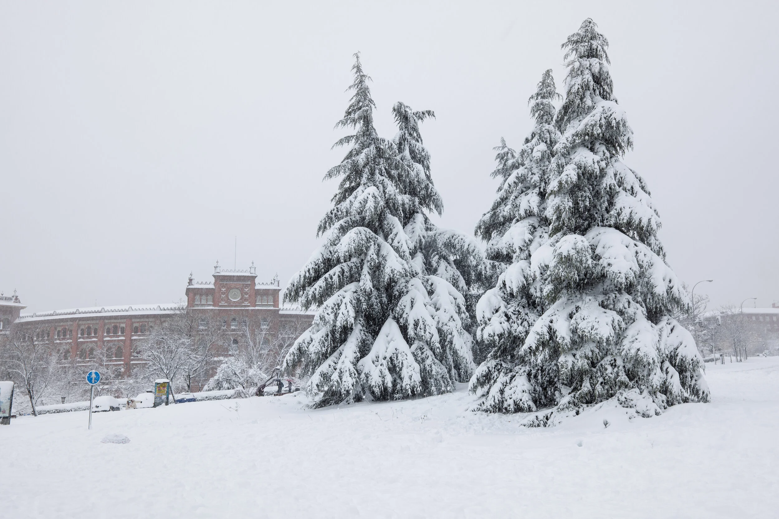 madrid.filomena.pii (12 of 15).jpg