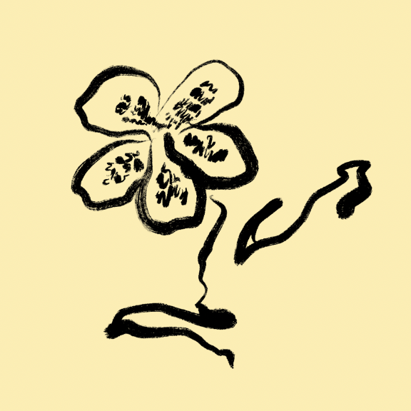 Screenshot 2026-02-23 at 14.34.22.png