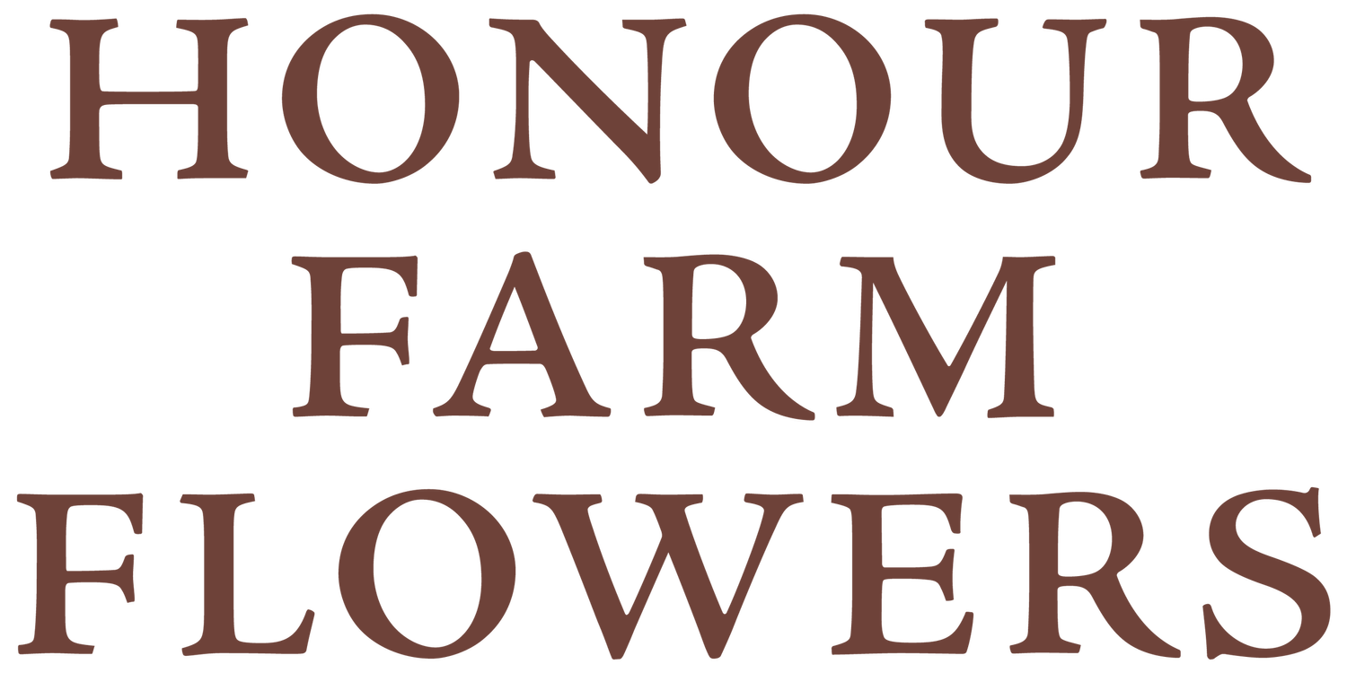 Honour Farm Flowers