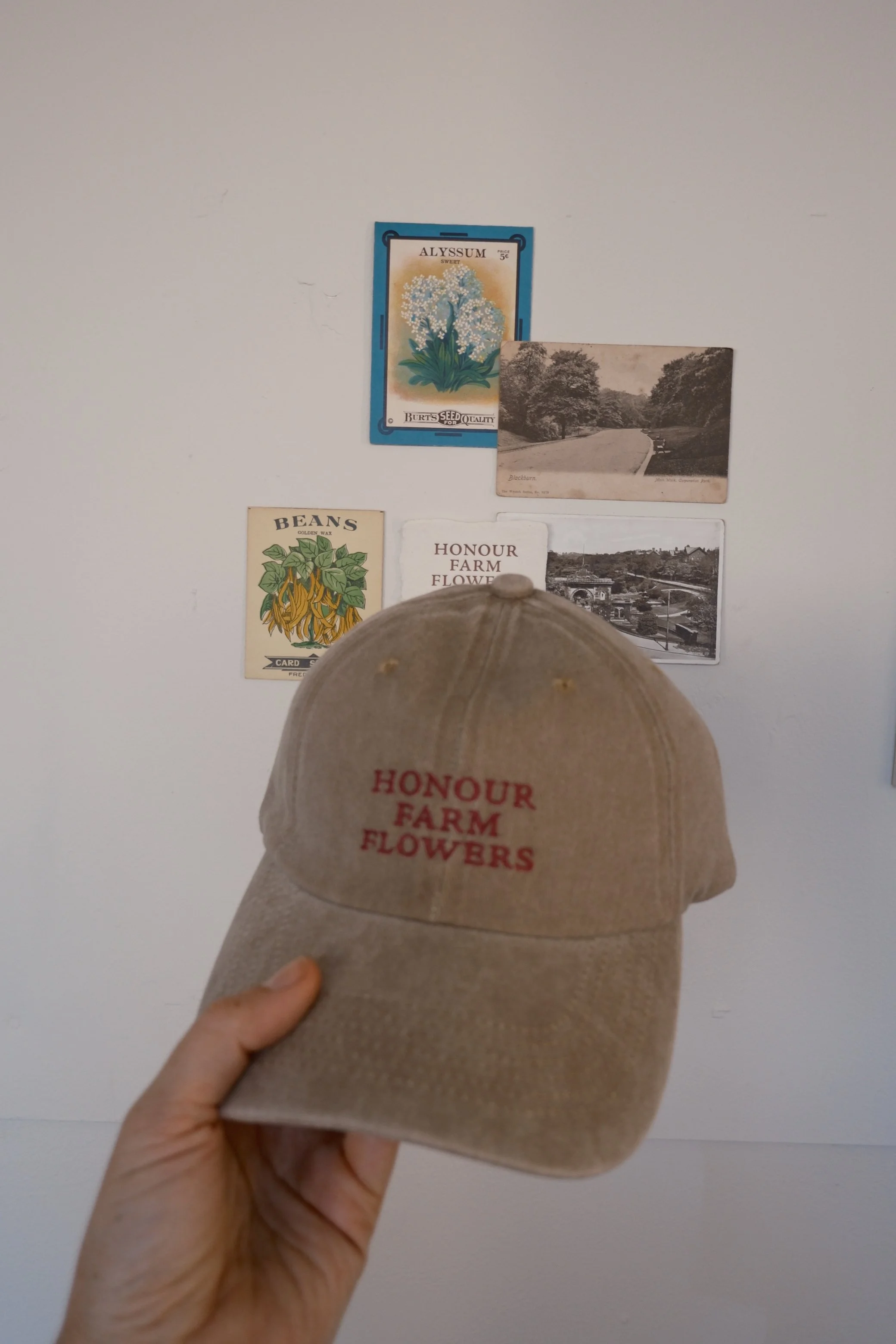 DSCF2381.JPG