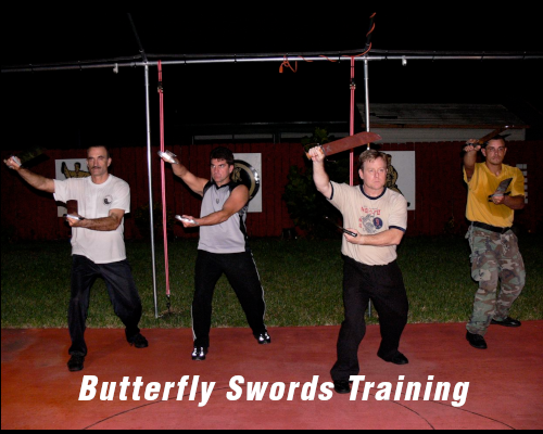 butterfly-swords.png