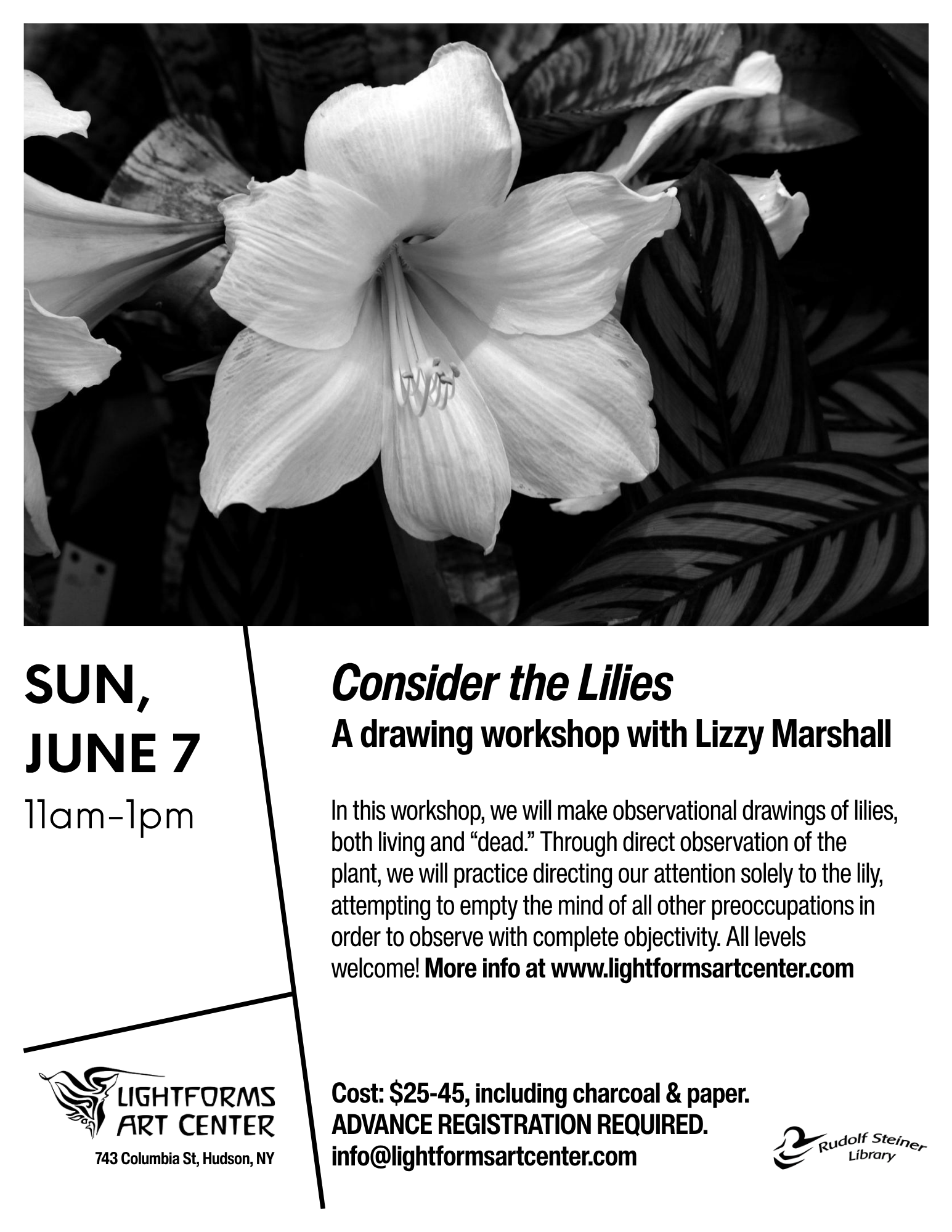 Consider the Lillies: drawing workshop with Lizzy Marshall