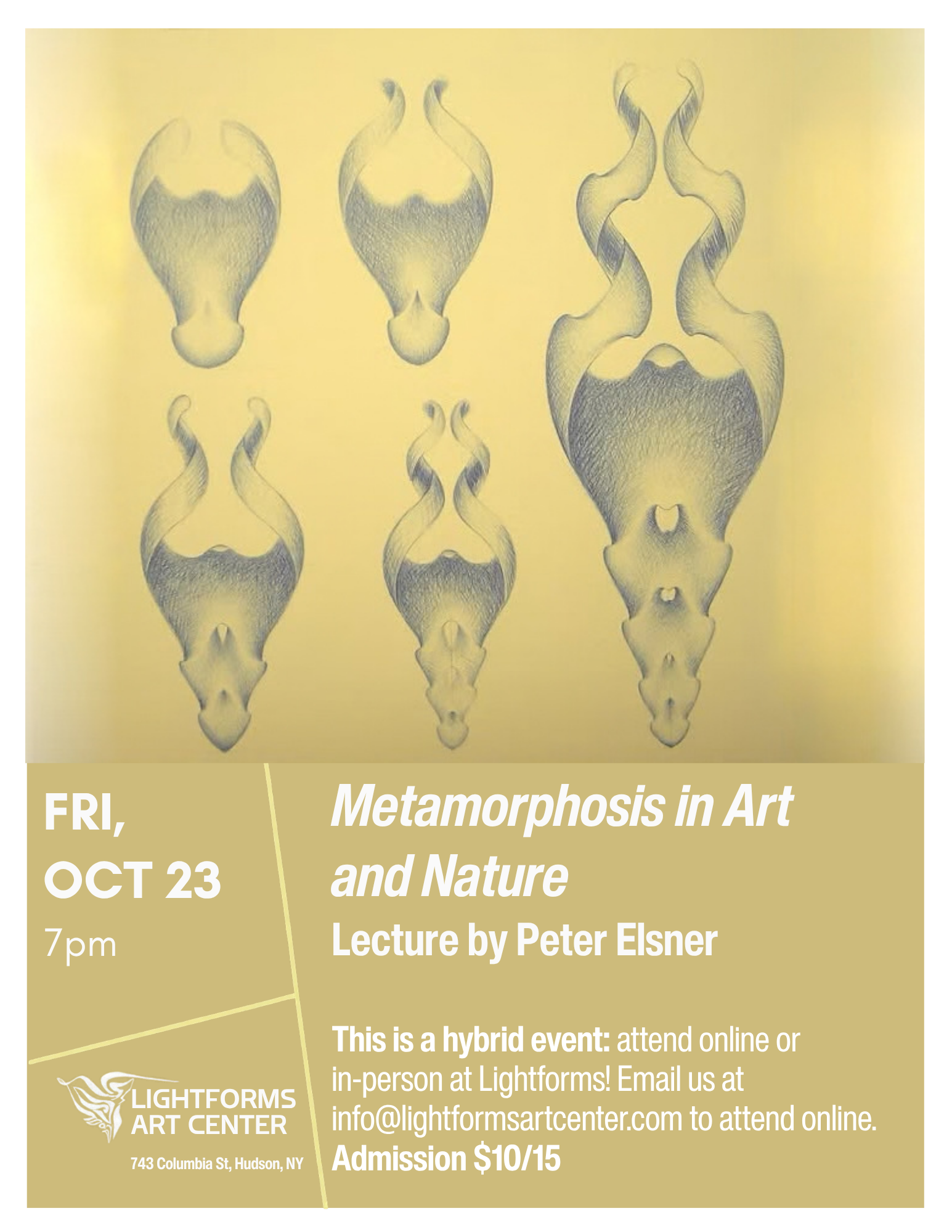 Lecture on Metamorphosis by Peter Elsner (hybrid event)