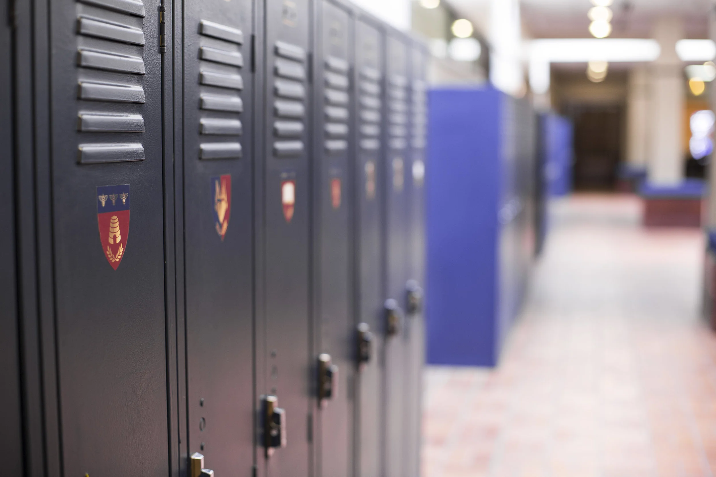 Chesterton Schools Network