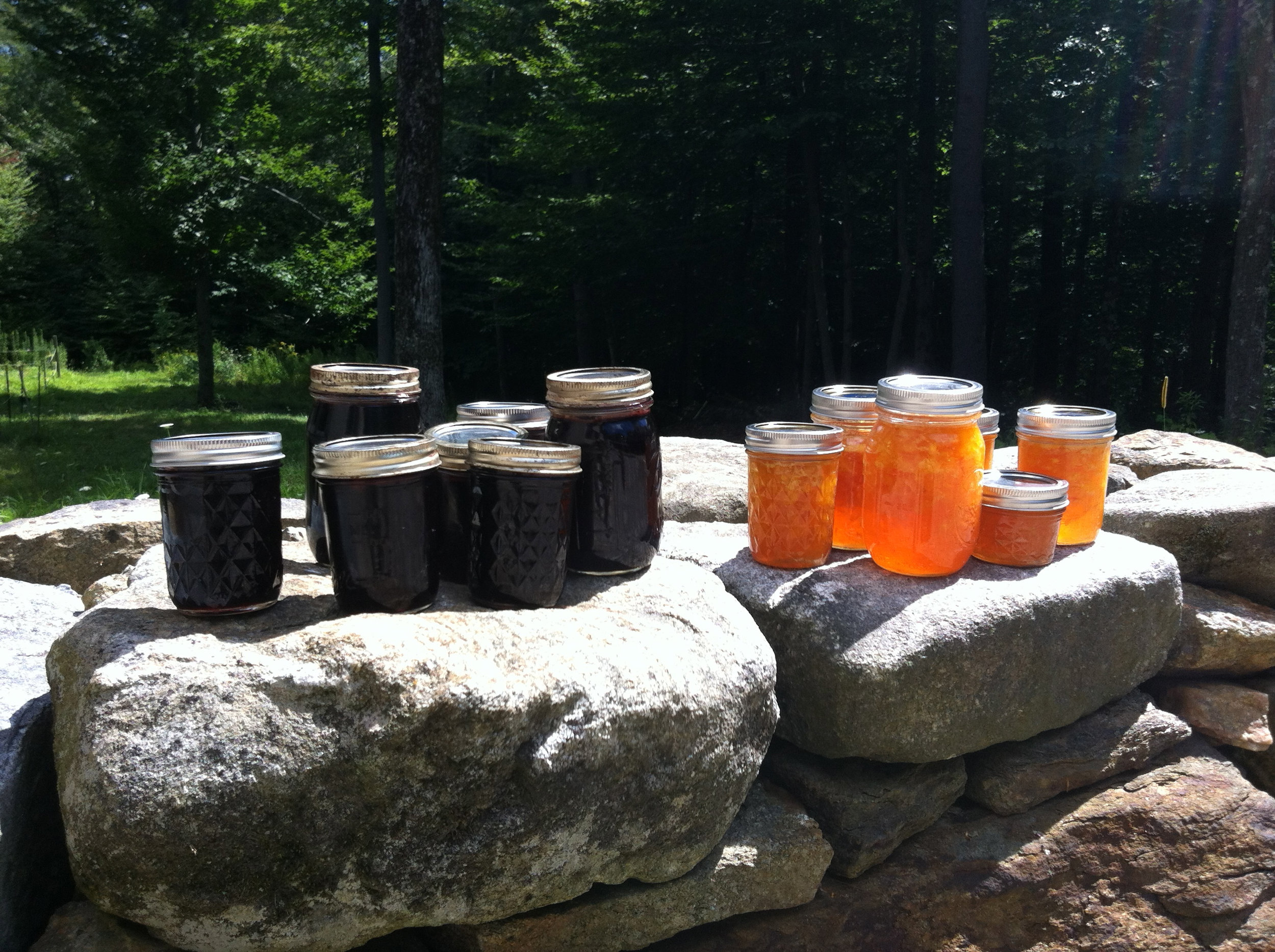 Hard cider in Tom Christopher's sustainable garden