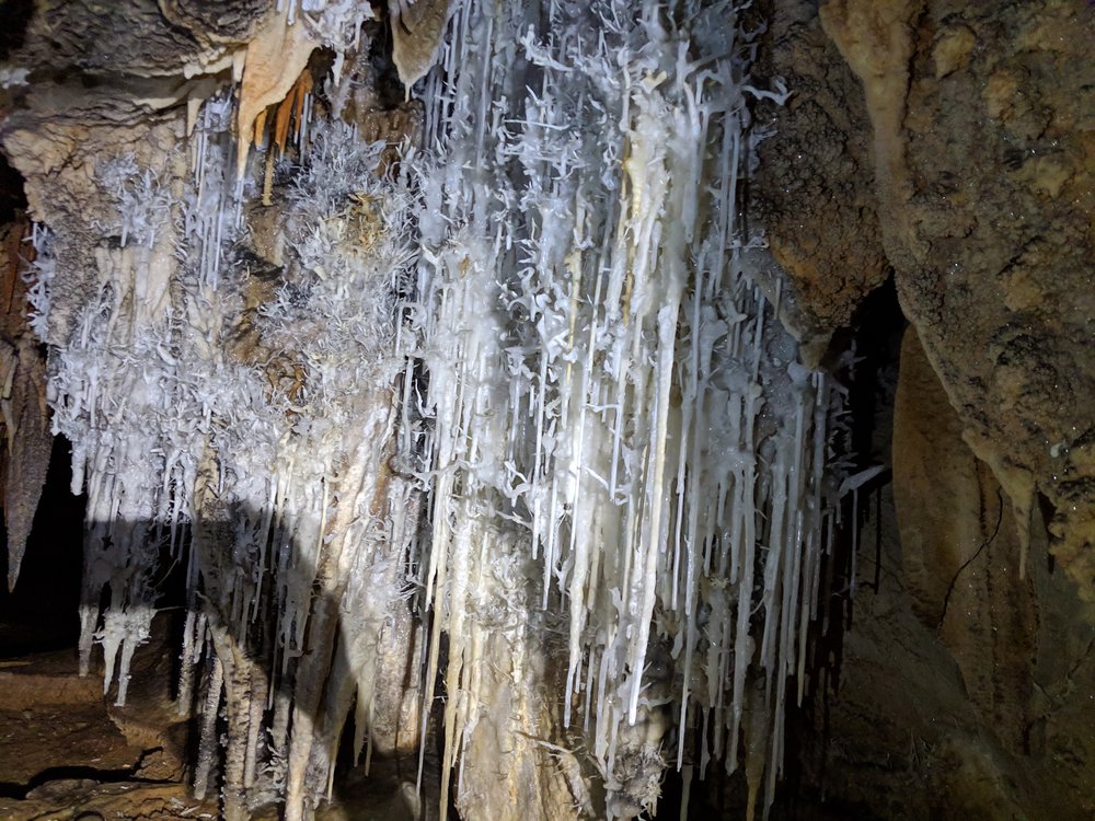 Northern Rocky Mountain Grotto