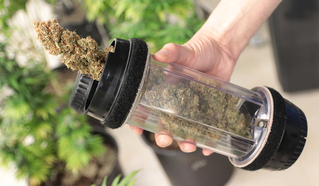 In Oklahoma and around the country, an enterprising cannabis entrepreneur could fill a bank deposit tube with marijuana, but he or she would struggle to find a bank willing to accept the cash from their business. (Ben White)