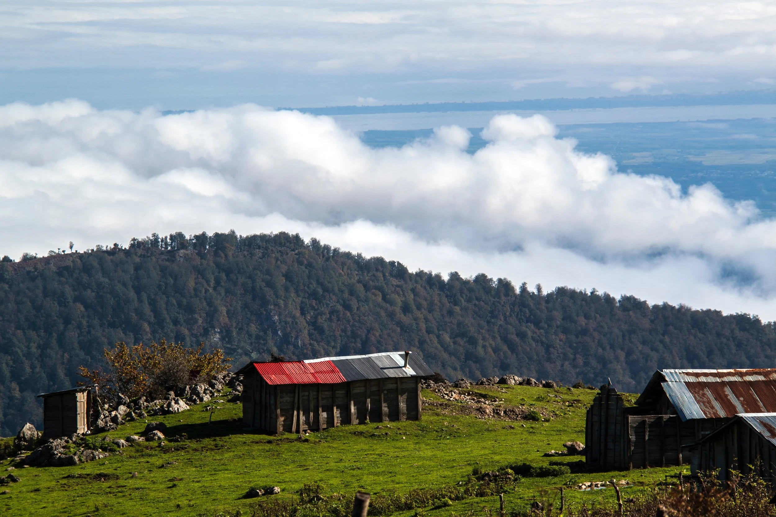 Gilan Province, Iran. Photo by Pooyan Eshtiaghi on Unsplash