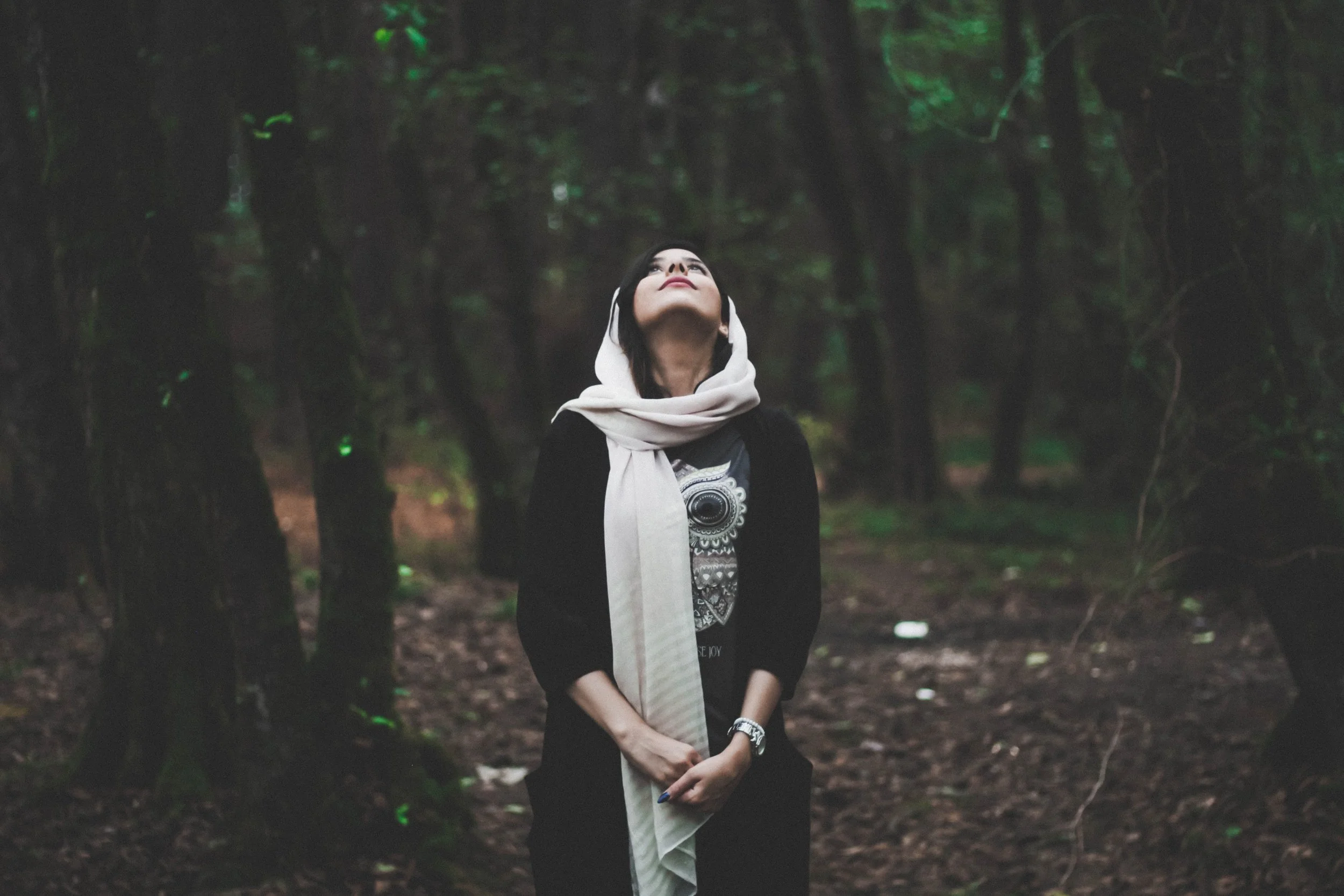 Gisoom, Rasht, Iran. Photo by Majid Sadr on Unsplash